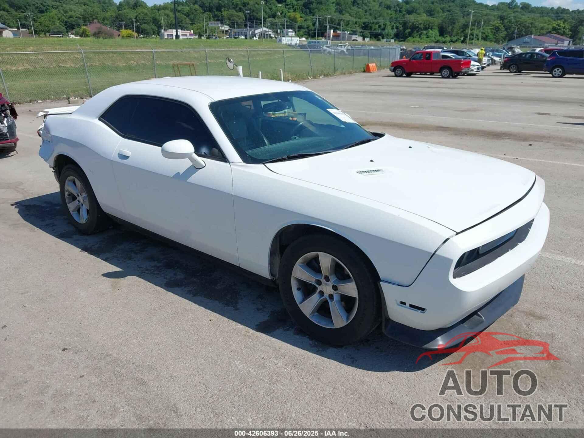 DODGE CHALLENGER 2013 - 2C3CDYAG6DH604038