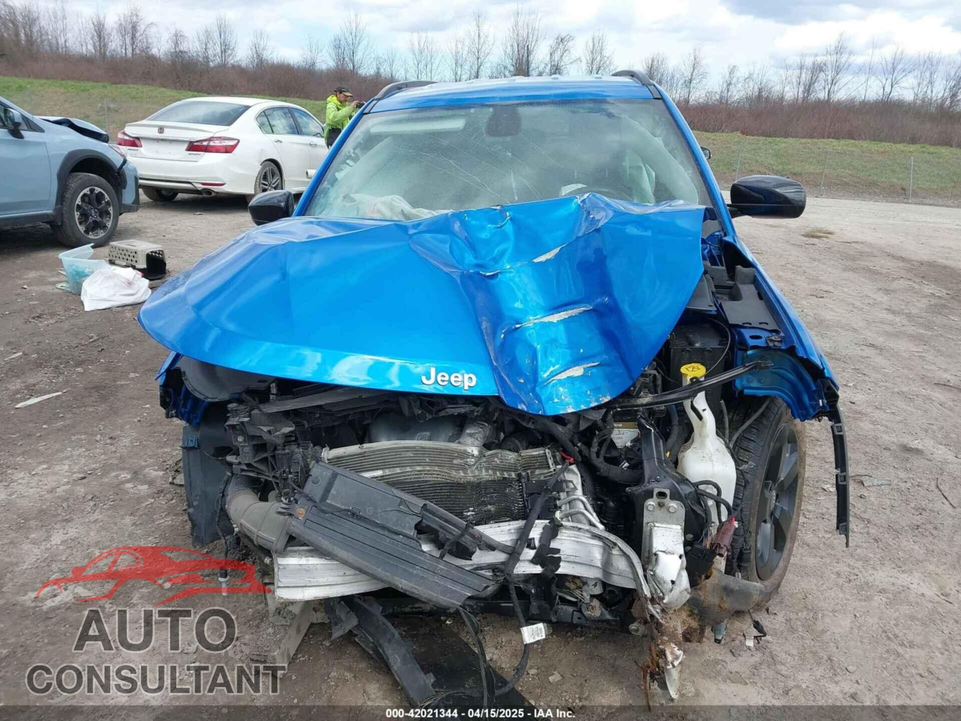 JEEP COMPASS 2020 - 3C4NJDBB1LT160484