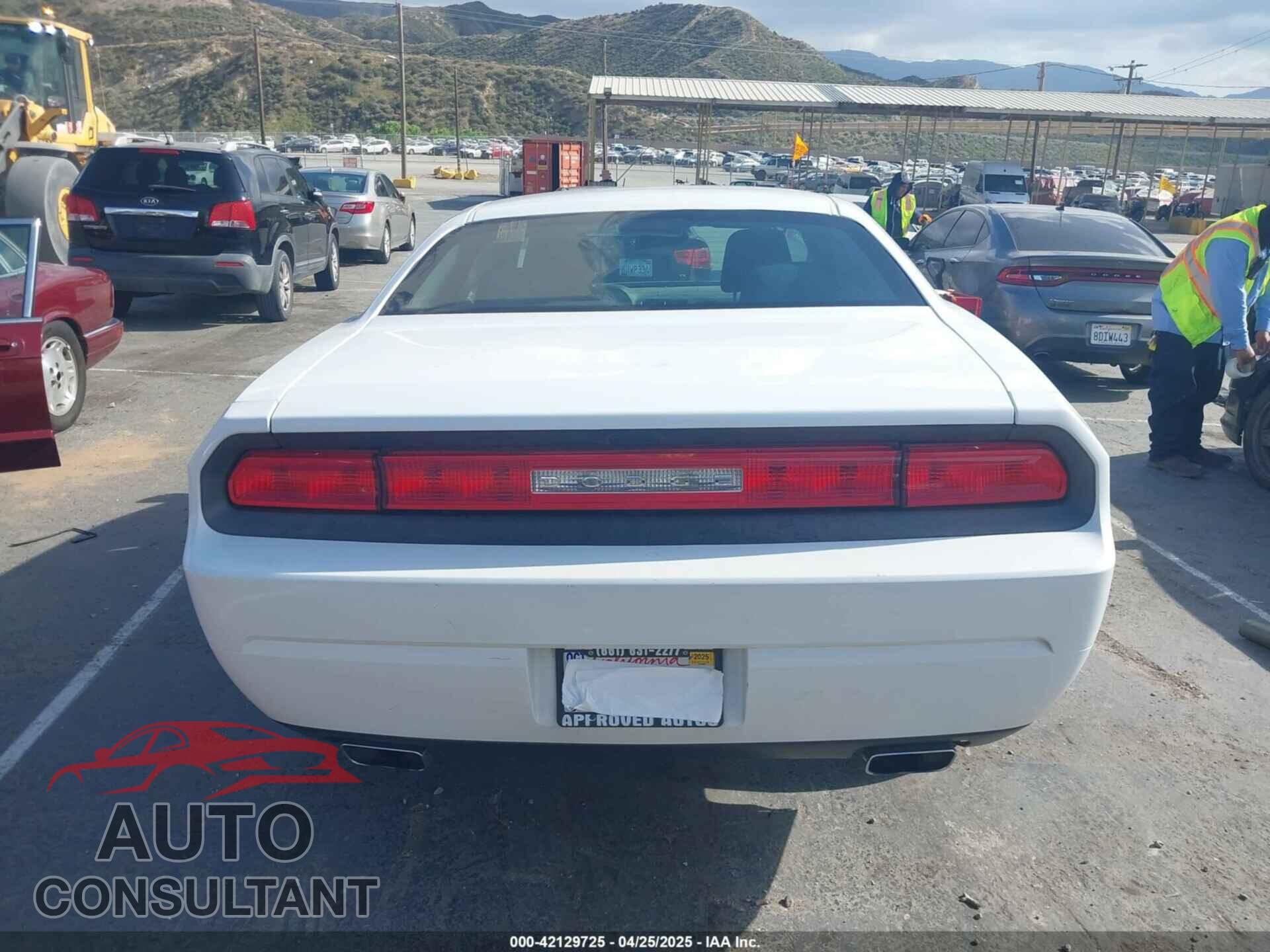 DODGE CHALLENGER 2013 - 2C3CDYAG3DH524258
