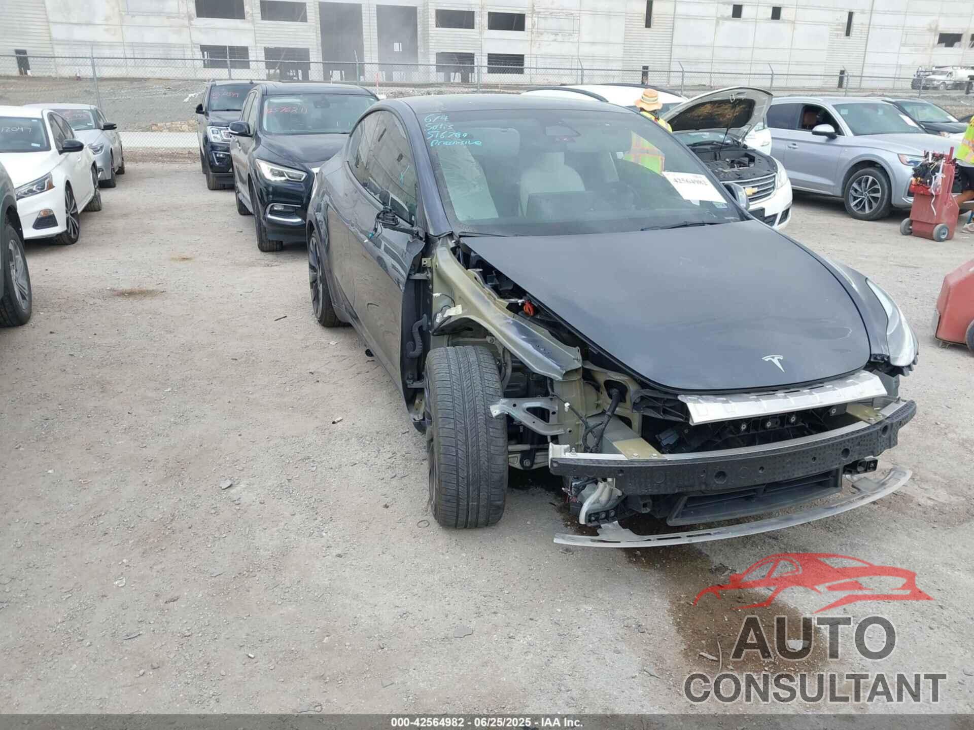 TESLA MODEL Y 2022 - 7SAYGDEF5NF516384