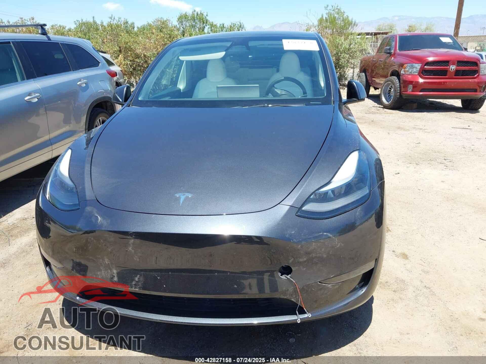 TESLA MODEL Y 2024 - 7SAYGAEE4RF991794