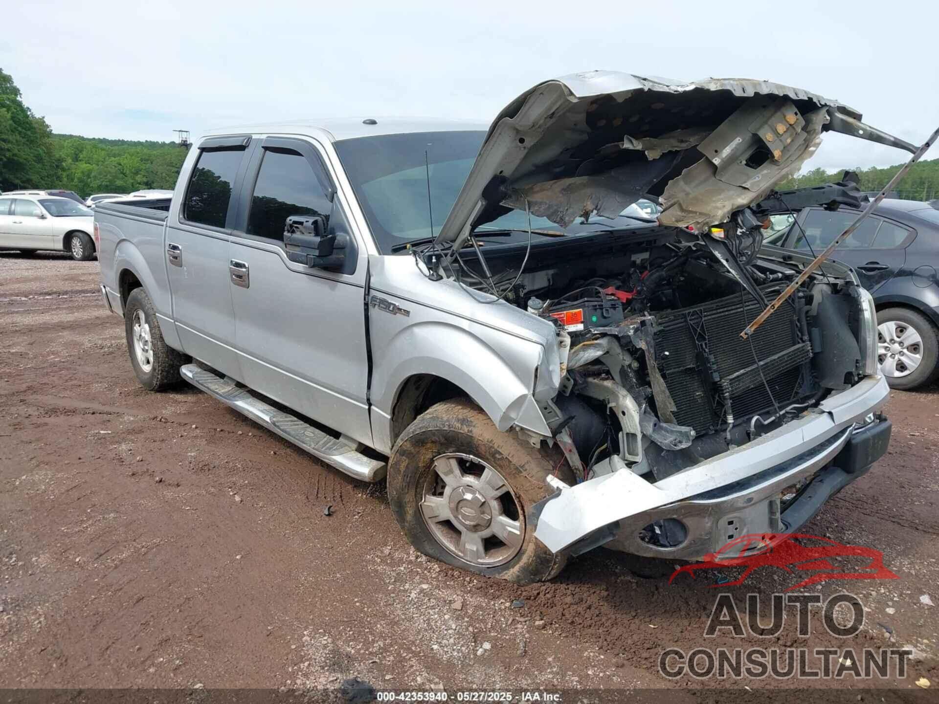 FORD F-150 2010 - 1FTEW1C88AFA81033