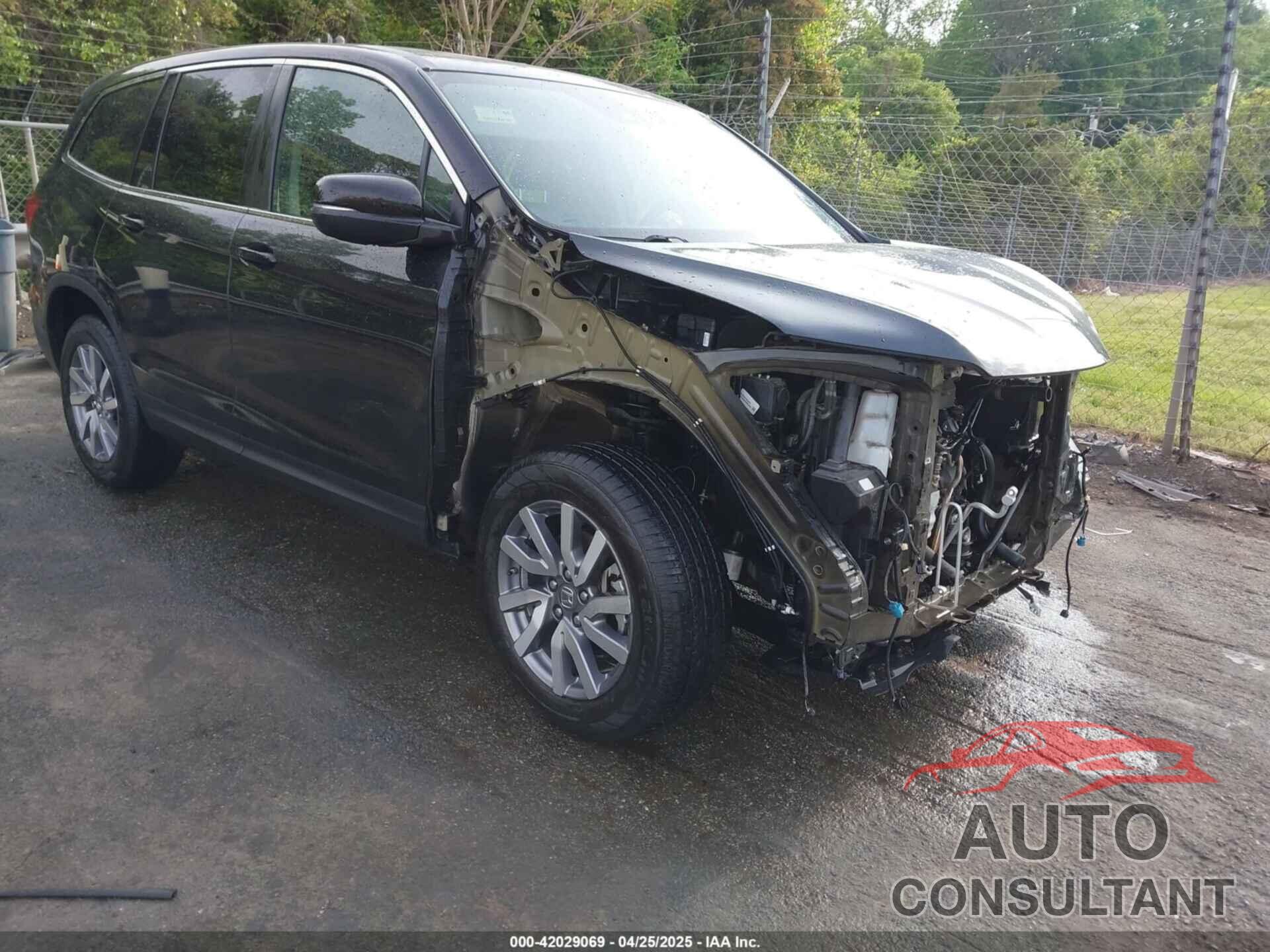 HONDA PILOT 2019 - 5FNYF5H52KB041345