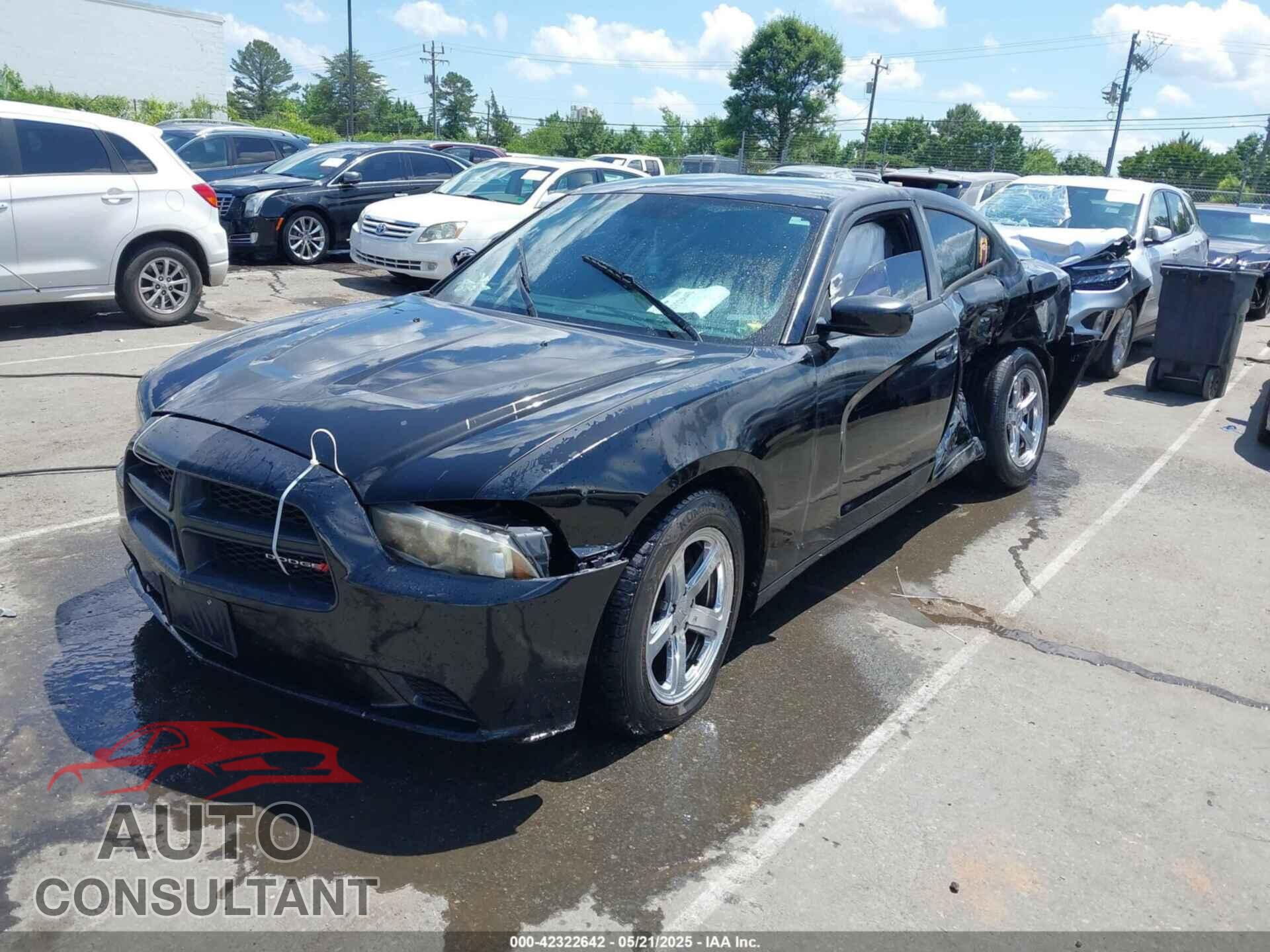 DODGE CHARGER 2013 - 2C3CDXAT1DH660492