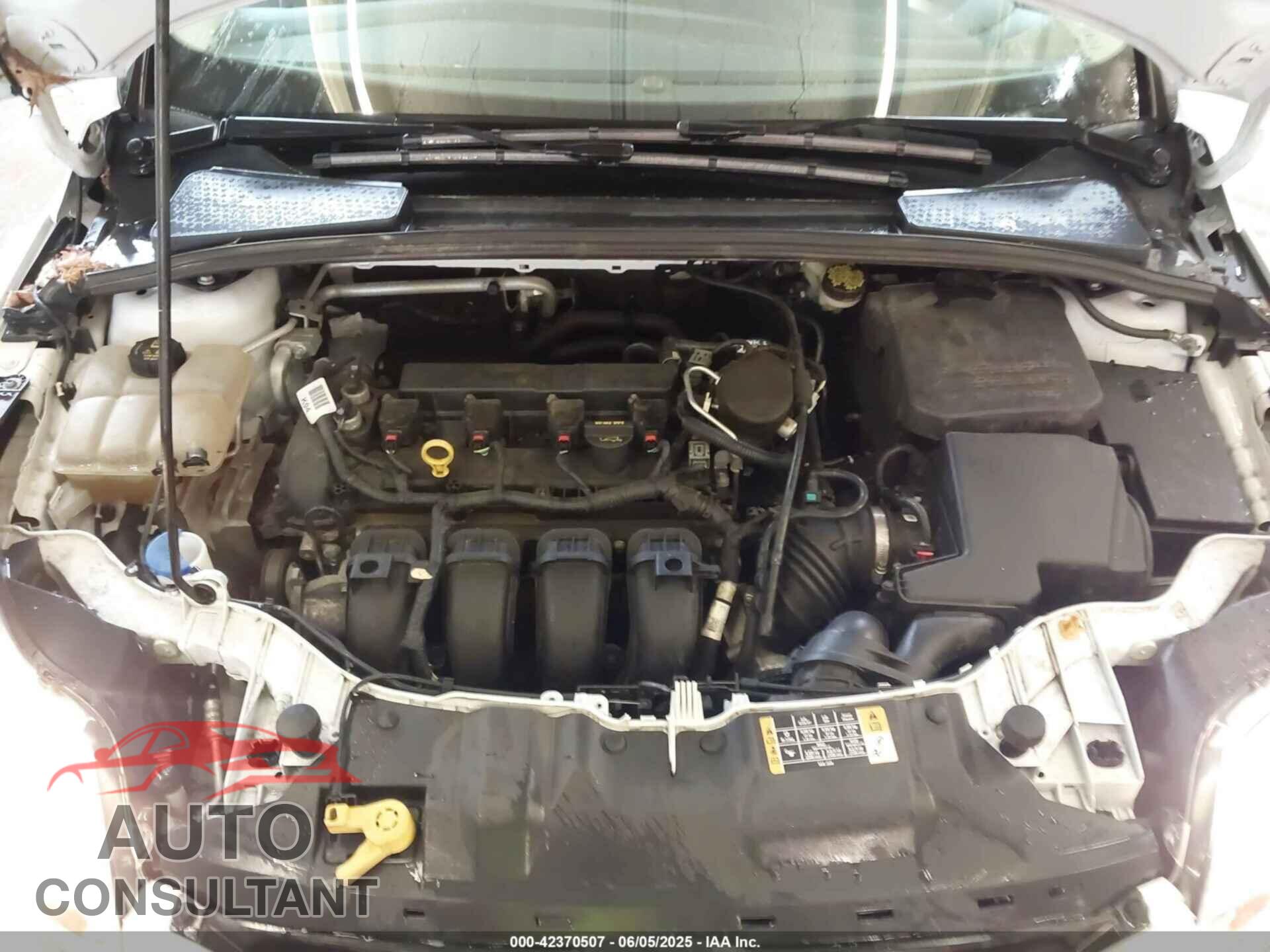 FORD FOCUS 2014 - 1FADP3F20EL339280