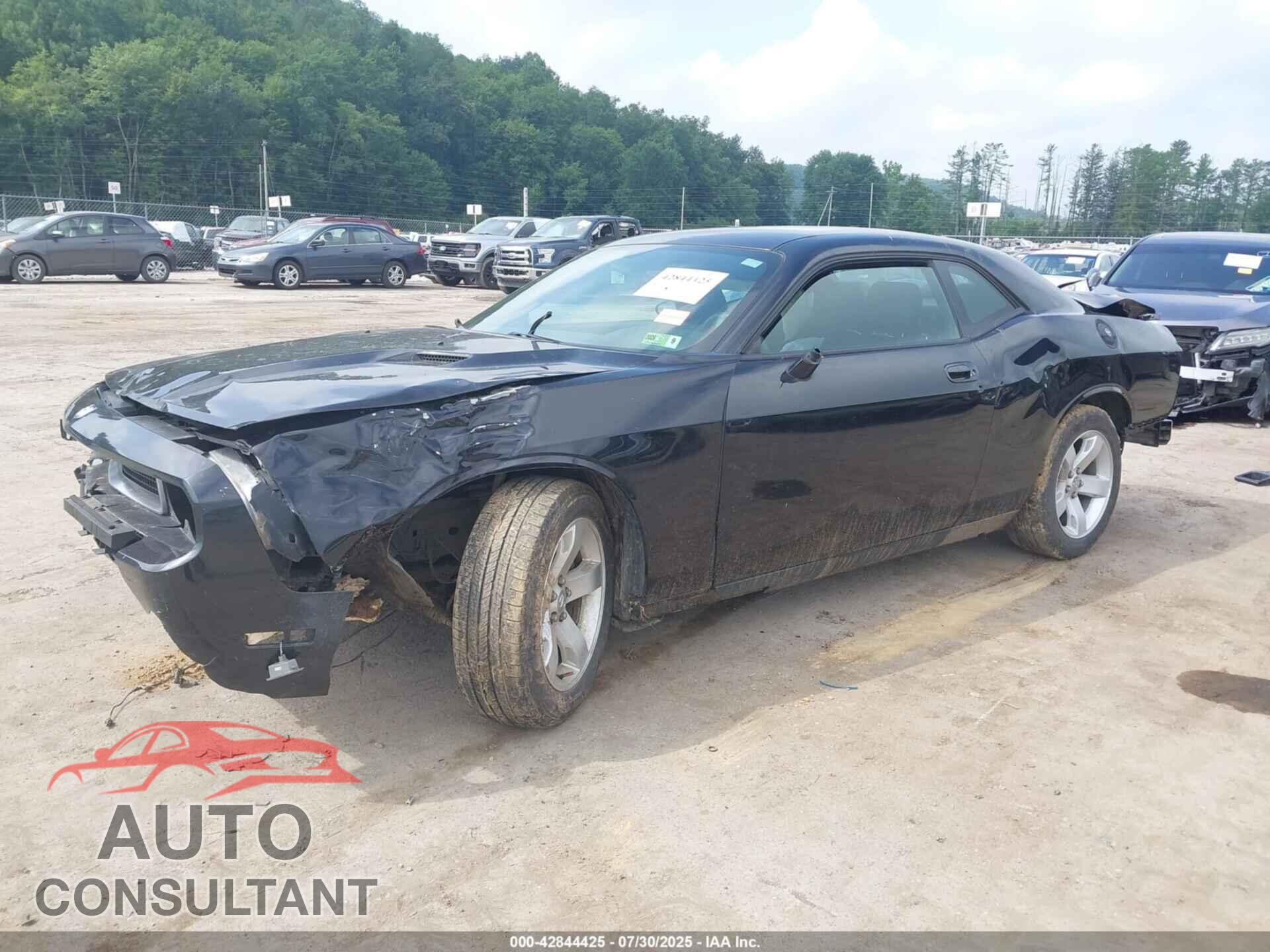 DODGE CHALLENGER 2010 - 2B3CJ4DV6AH133576