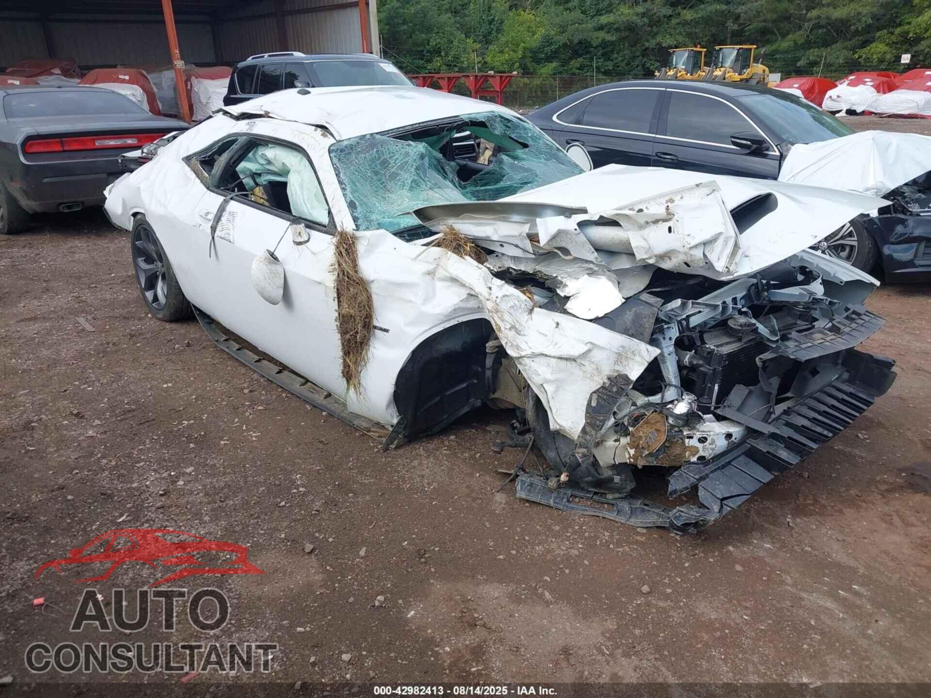 DODGE CHALLENGER 2019 - 2C3CDZBT4KH606434