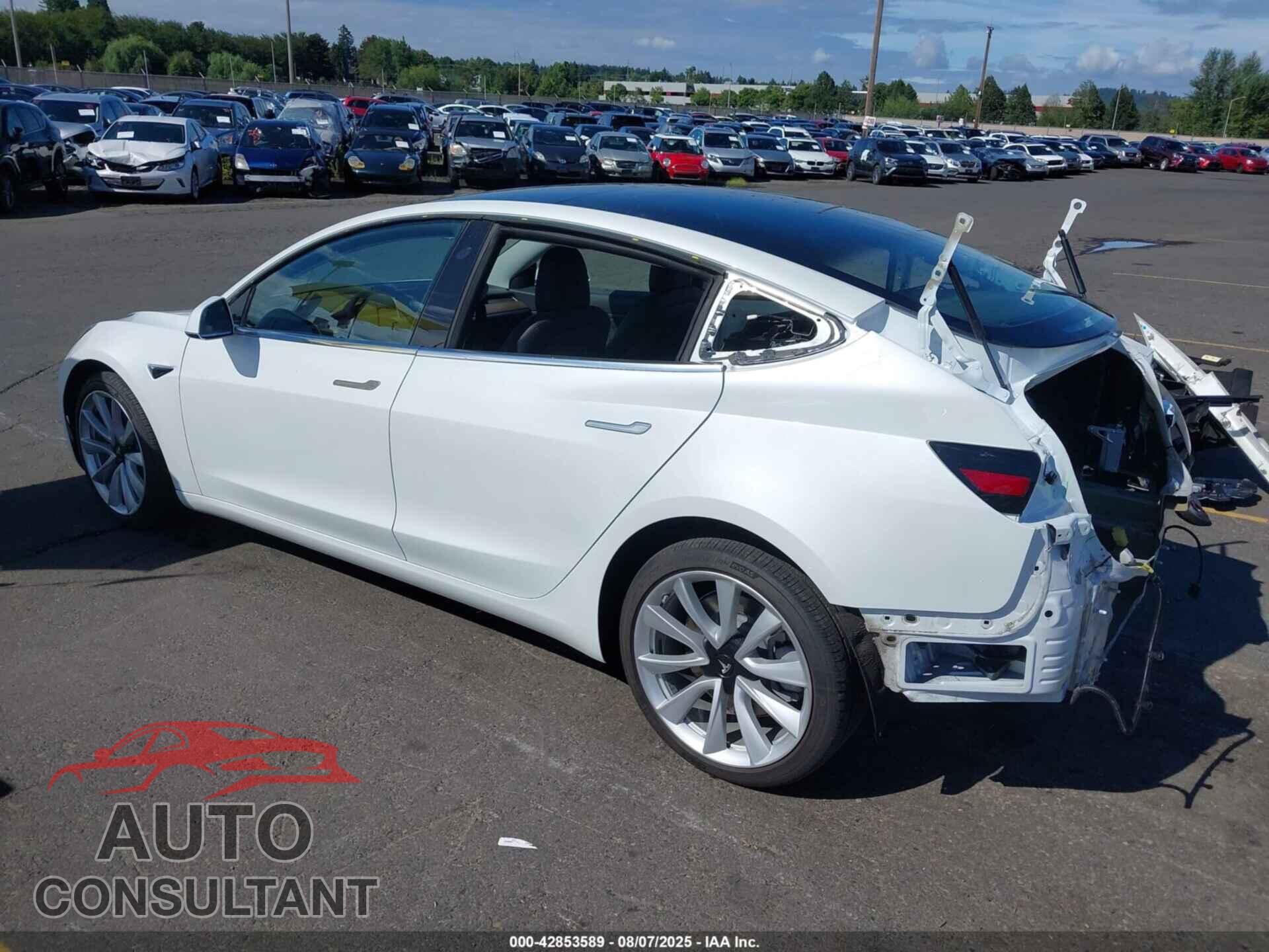 TESLA MODEL 3 2020 - 5YJ3E1EC2LF627456