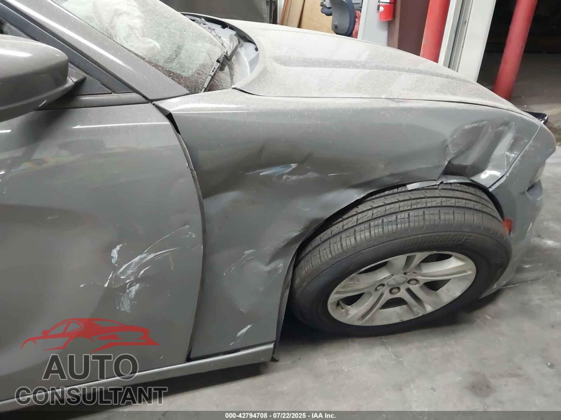 DODGE CHARGER 2019 - 2C3CDXBG2KH695377