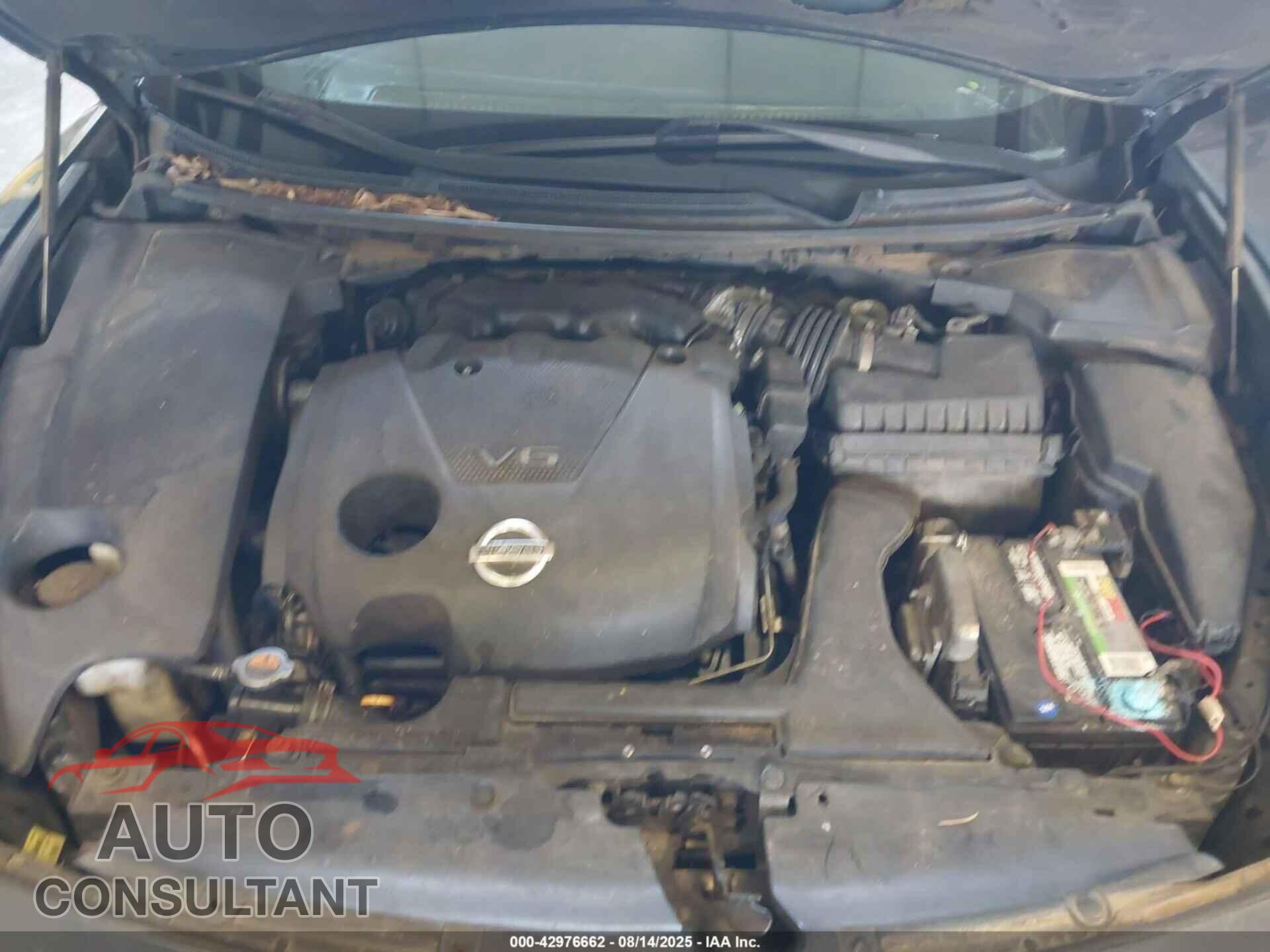 NISSAN MAXIMA 2009 - 1N4AA51E49C821029