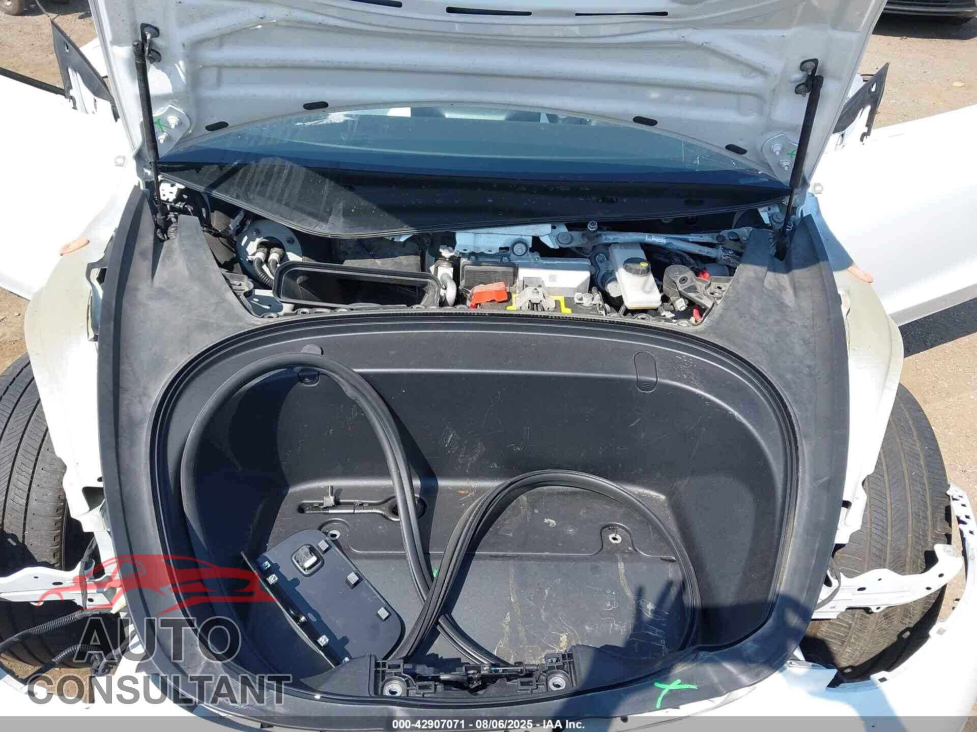 TESLA MODEL 3 2019 - 5YJ3E1EA2KF429392
