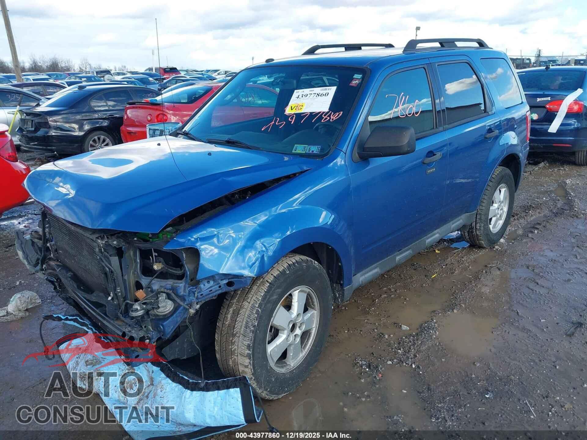 FORD ESCAPE 2010 - 1FMCU9DG2AKA44788