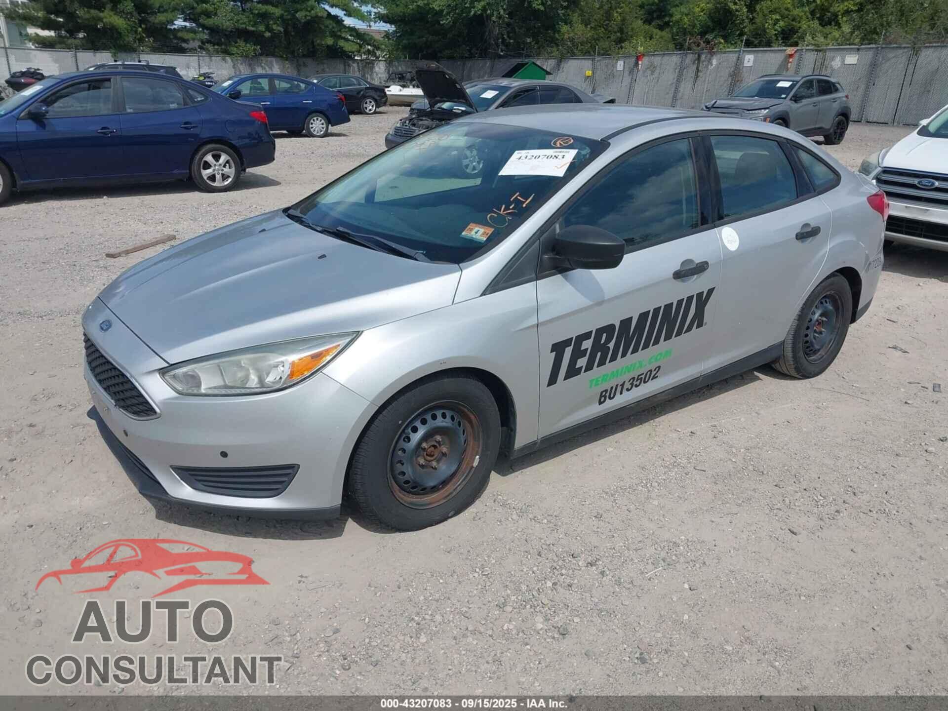 FORD FOCUS 2016 - 1FADP3E27GL290504