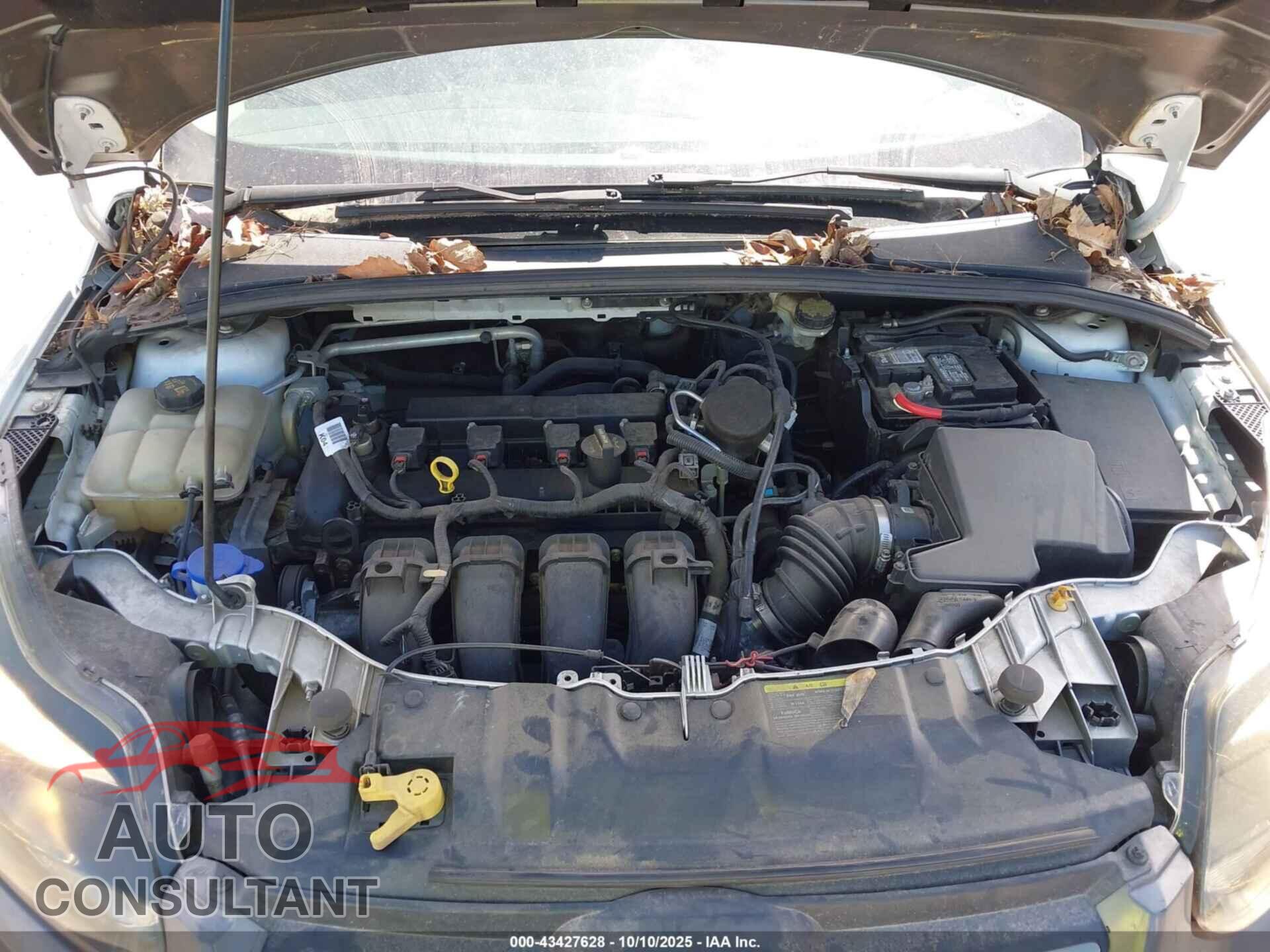 FORD FOCUS 2014 - 1FADP3F28EL312912