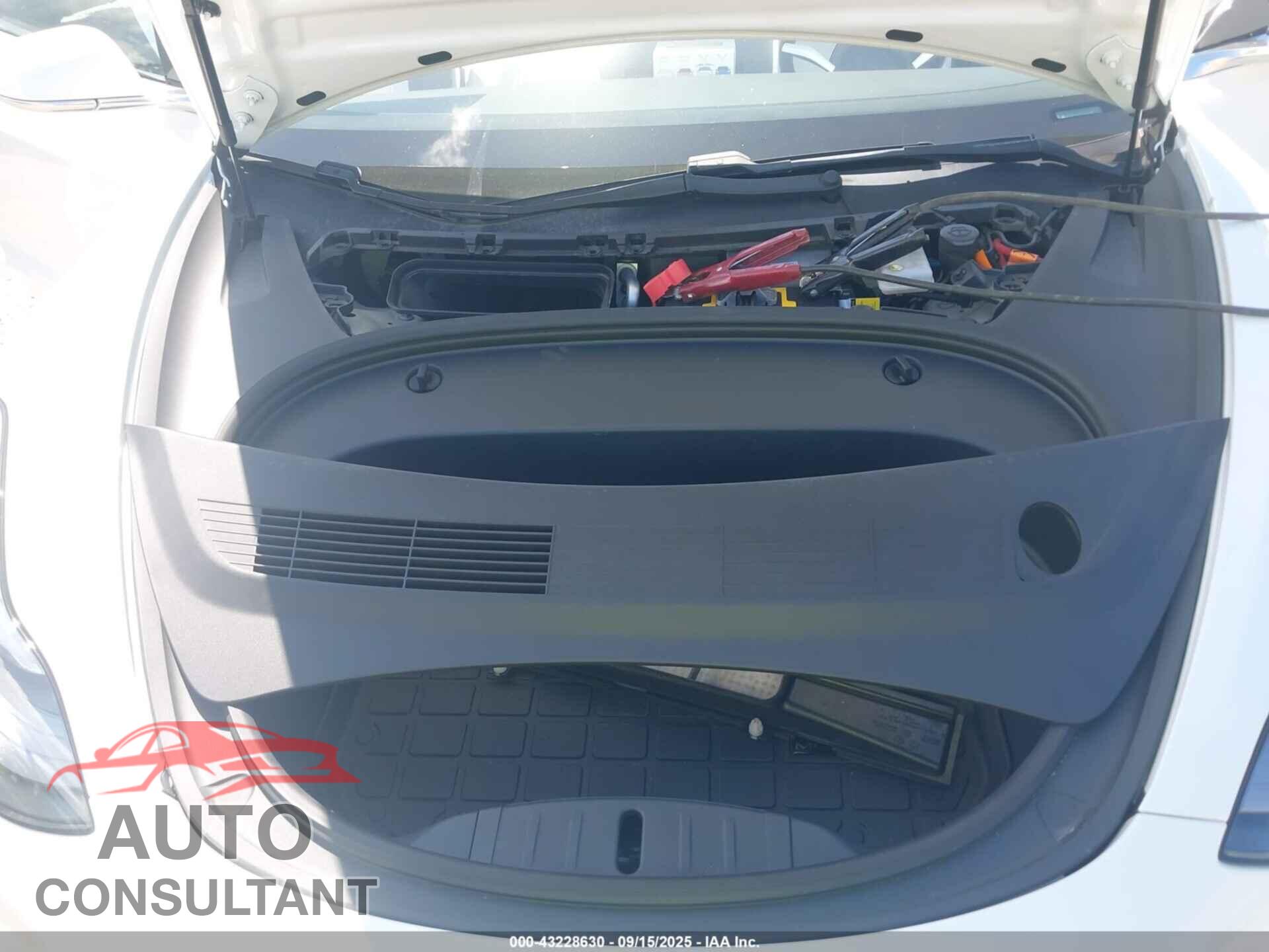TESLA MODEL 3 2020 - 5YJ3E1EA5LF793291
