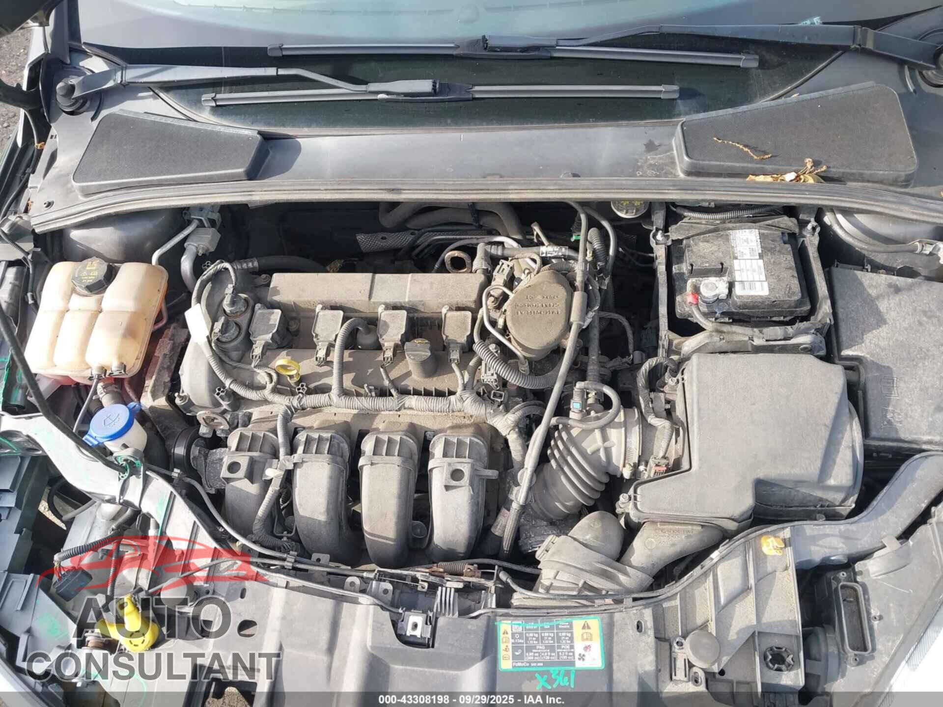 FORD FOCUS 2016 - 1FADP3K22GL220736