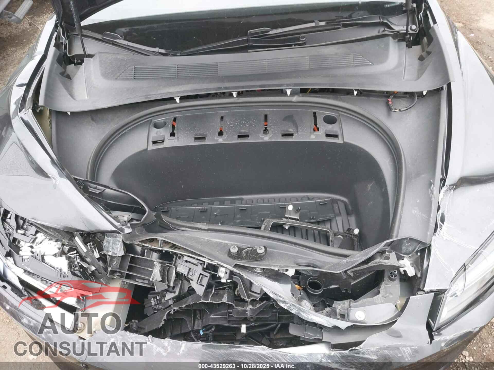 TESLA MODEL 3 2024 - 5YJ3E1EB5RF795124