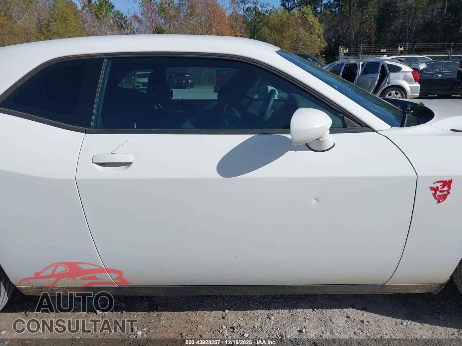 DODGE CHALLENGER 2019 - 2C3CDZAGXKH666626