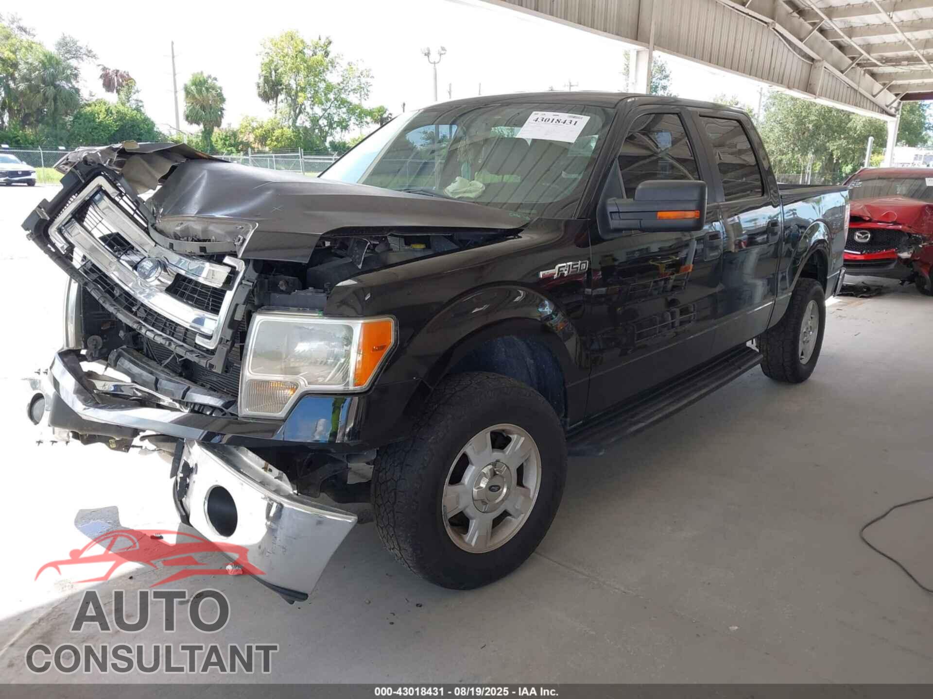 FORD F-150 2014 - 1FTEW1CM8EKE46000