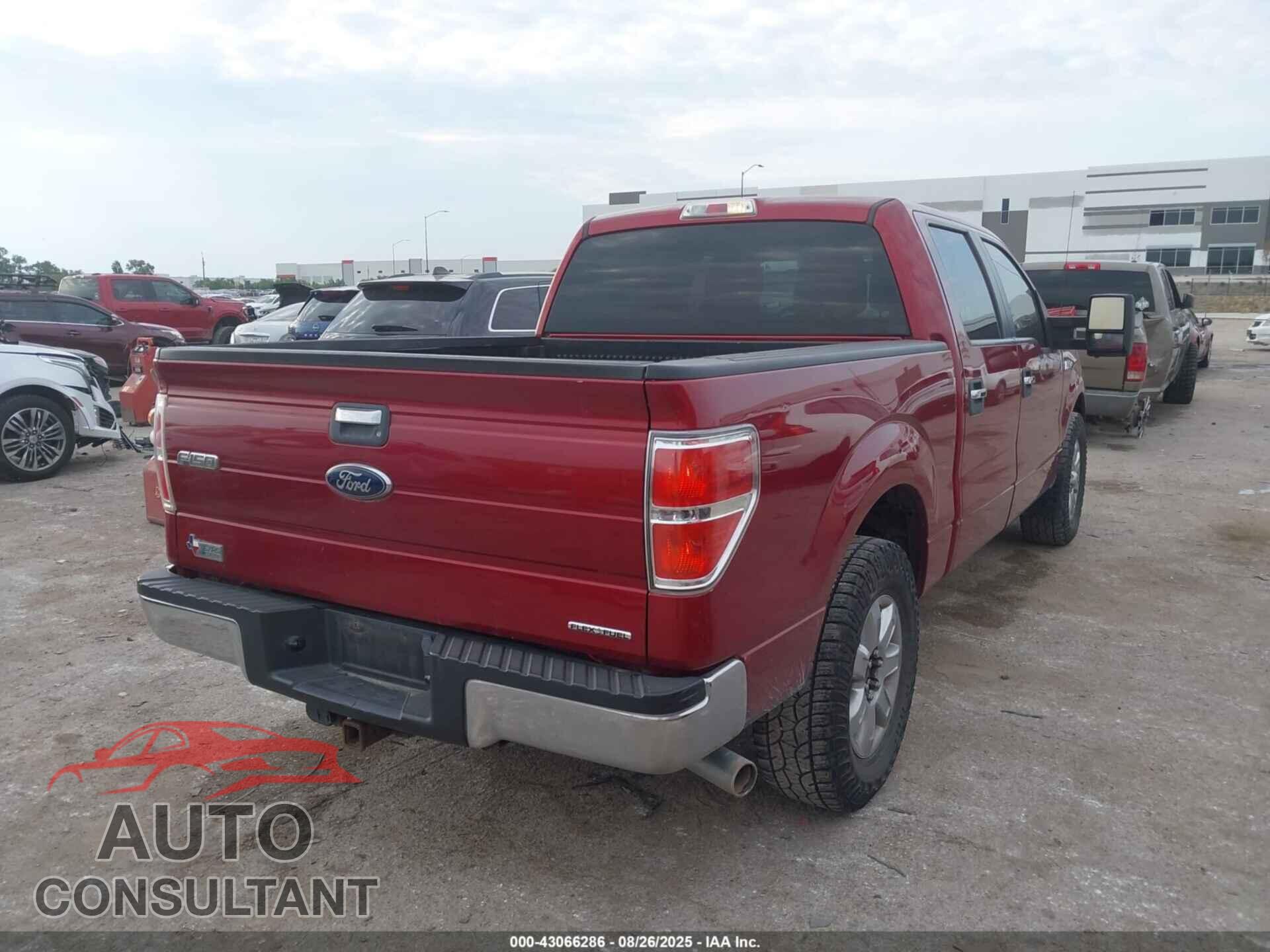 FORD F-150 2013 - 1FTFW1CF8DFD17364
