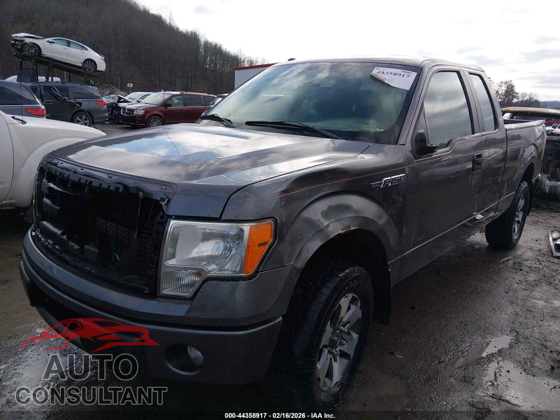 FORD F-150 2013 - 1FTFX1EF7DFD79459