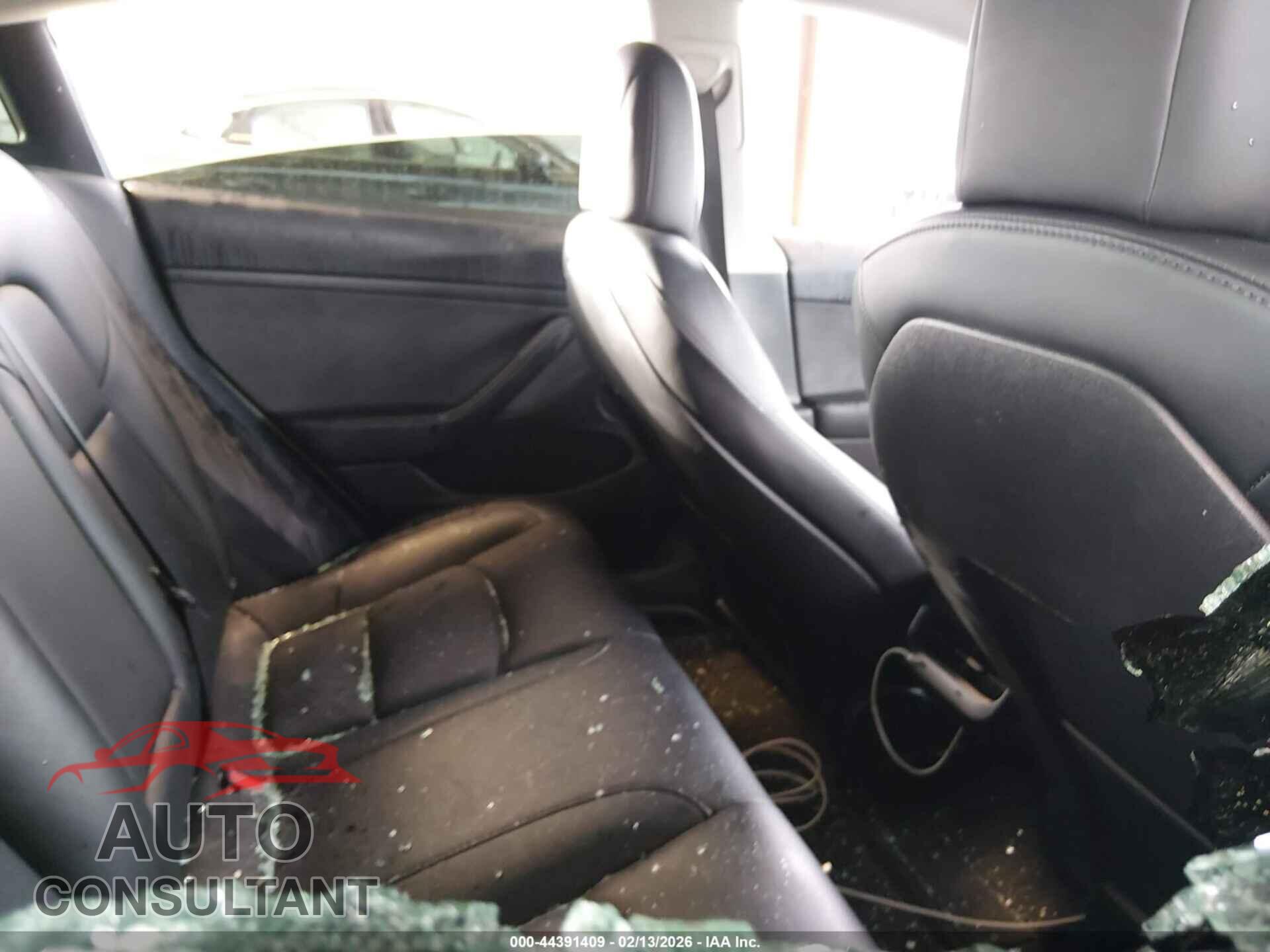 TESLA MODEL 3 2021 - 5YJ3E1EA3MF976867