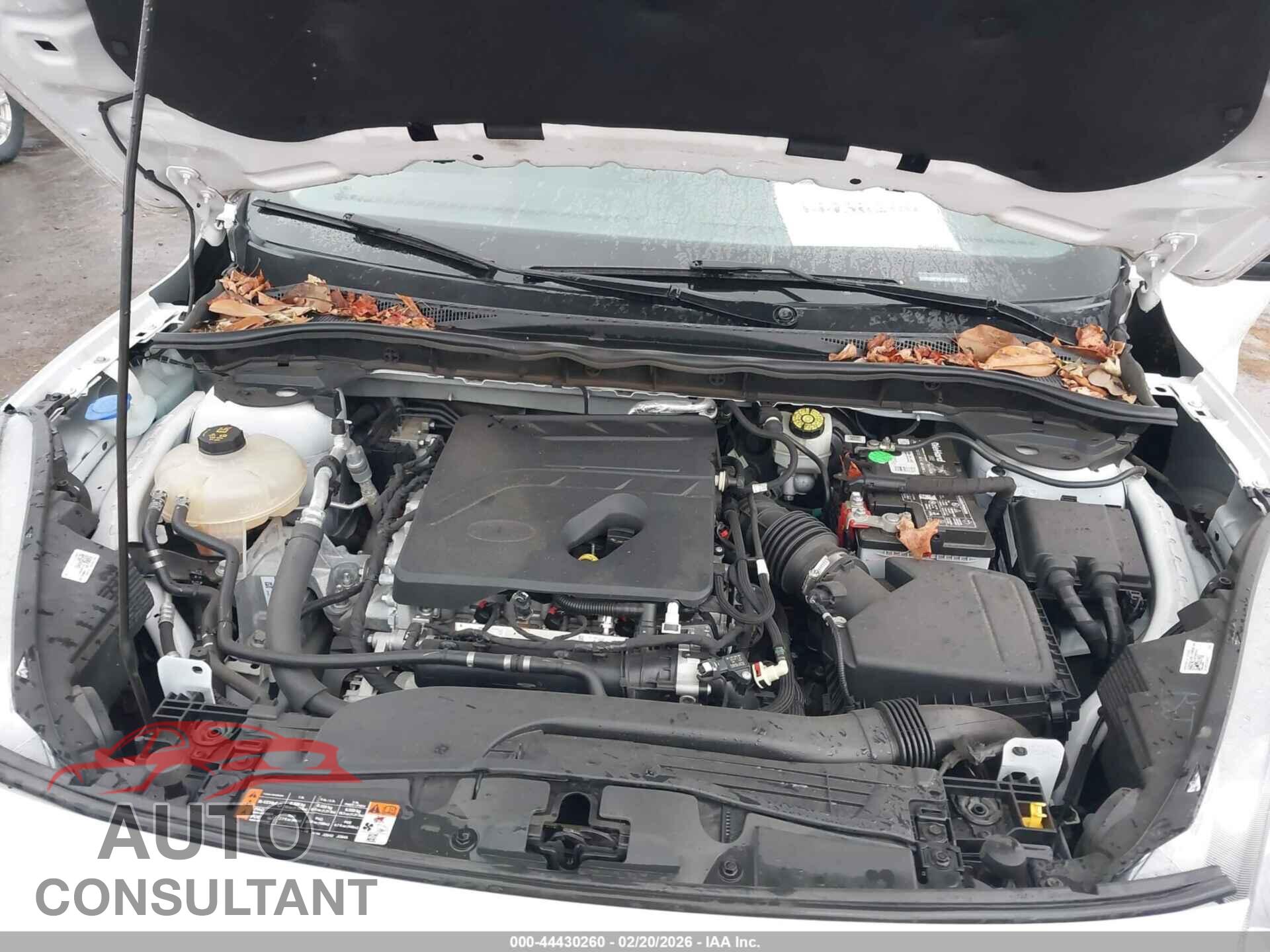 FORD ESCAPE 2020 - 1FMCU0F68LUA21605