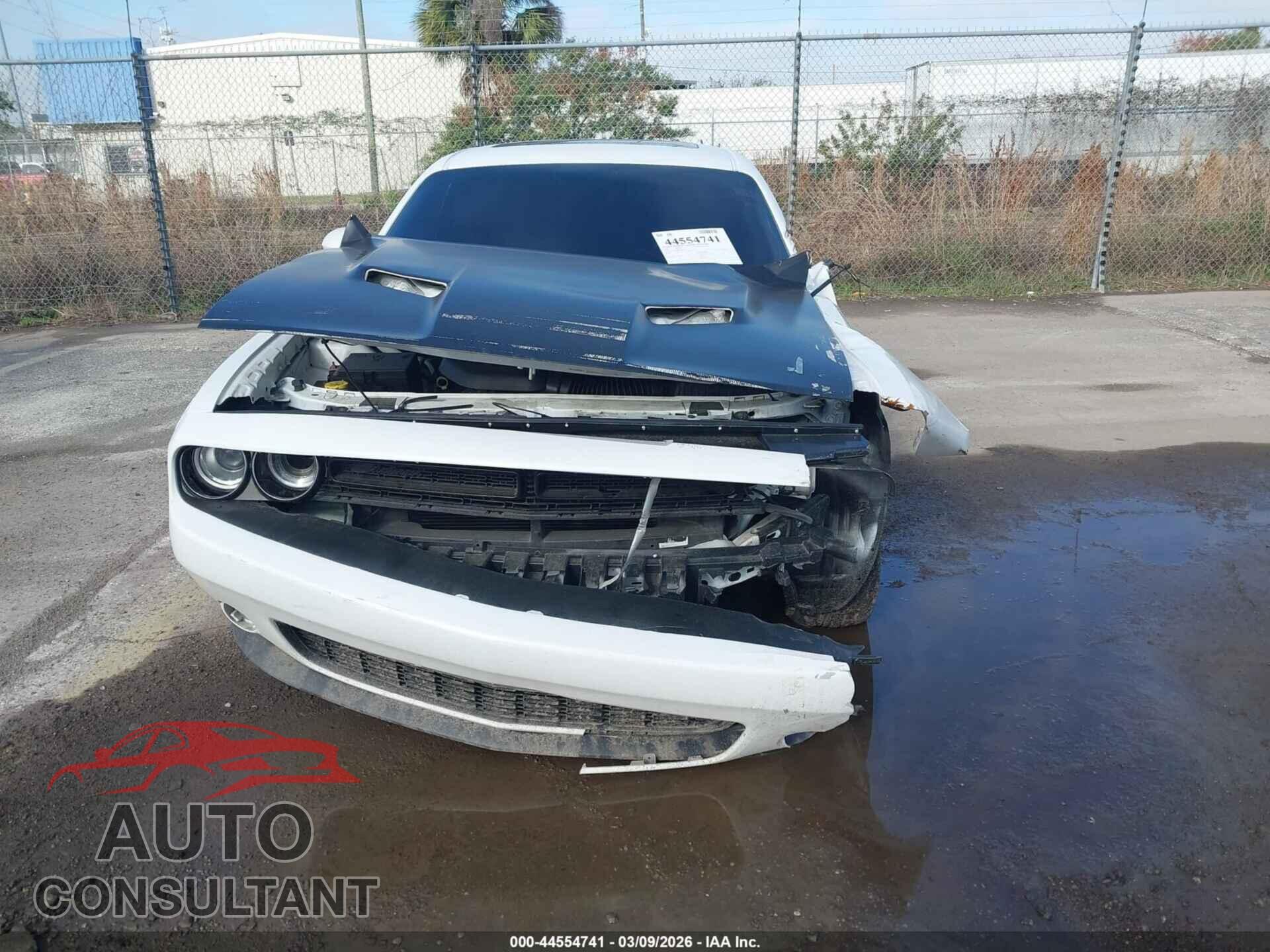 DODGE CHALLENGER 2019 - 2C3CDZAG9KH551483