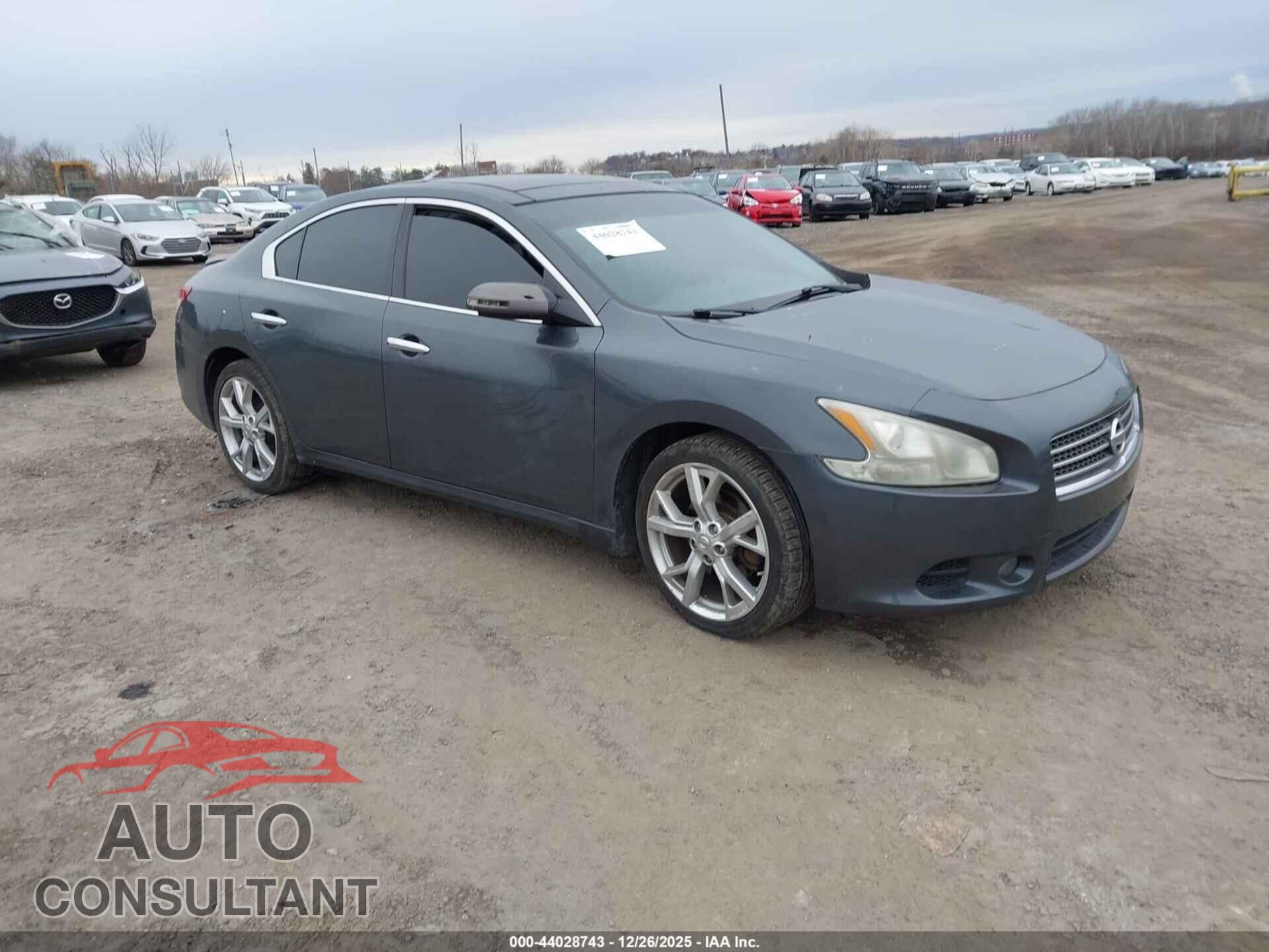 NISSAN MAXIMA 2011 - 1N4AA5AP8BC832090