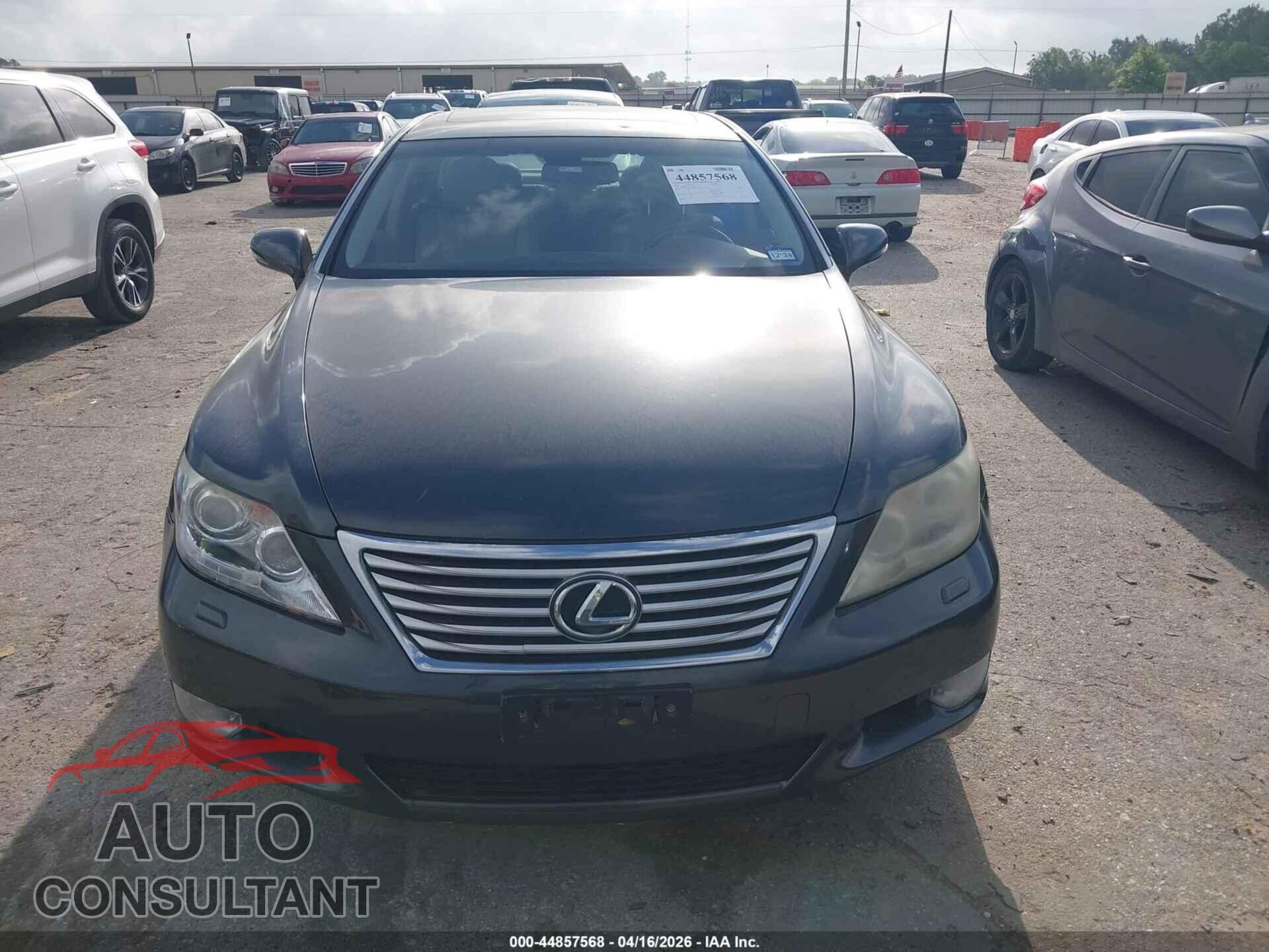 LEXUS LS 460 2011 - JTHBL5EF1B5106861