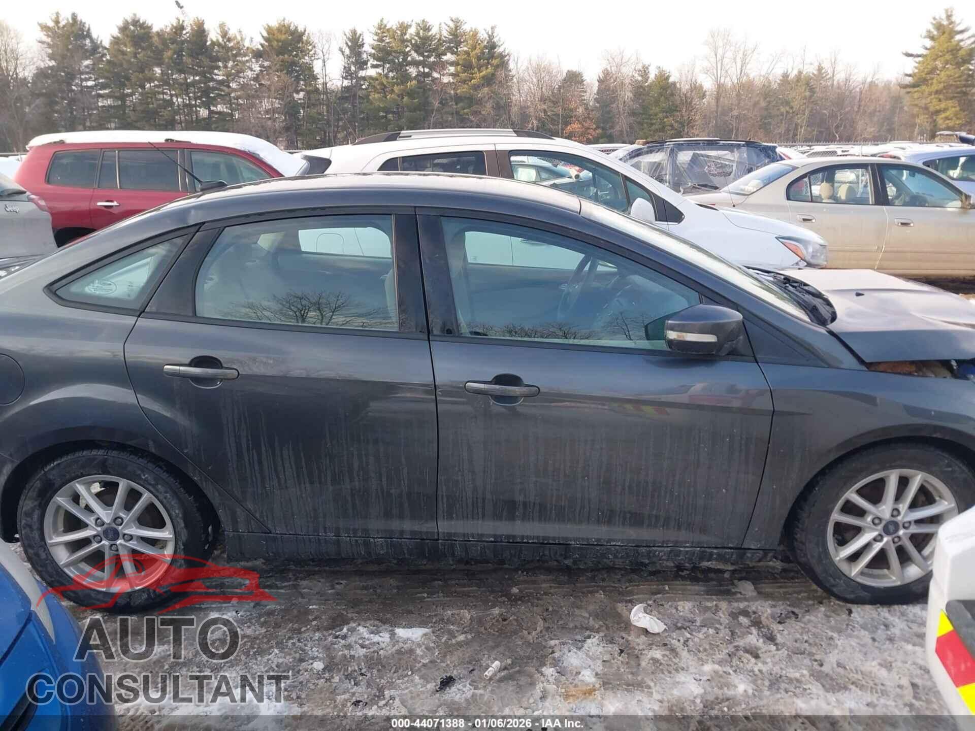 FORD FOCUS 2016 - 1FADP3F22GL300421