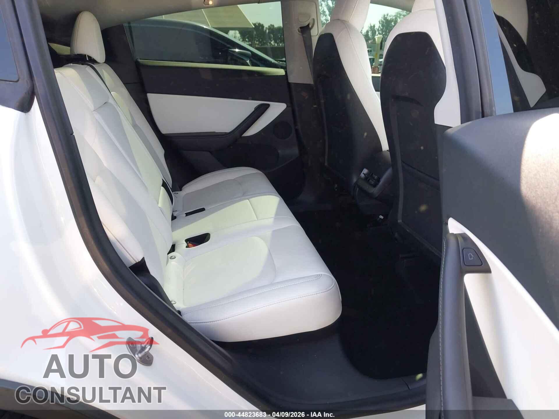 TESLA MODEL Y 2021 - 5YJYGDEF0MF146442