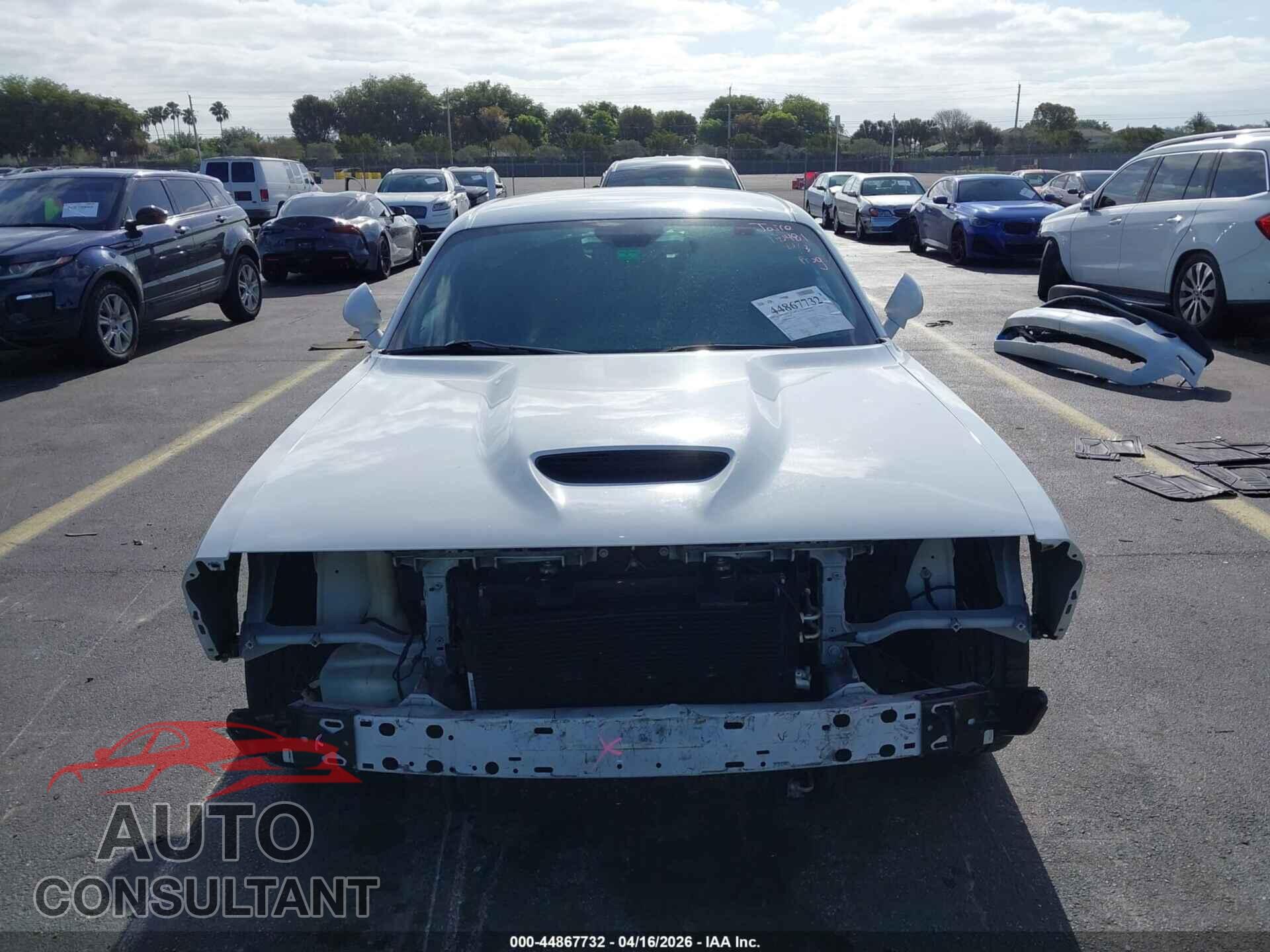 DODGE CHALLENGER 2019 - 2C3CDZBT9KH531598