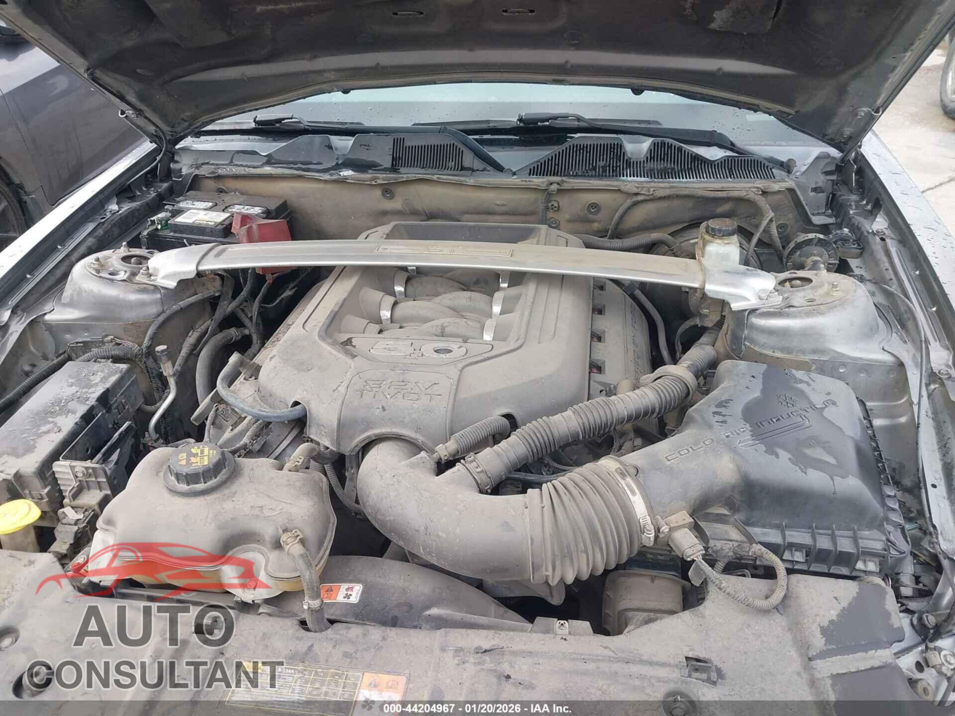 FORD MUSTANG 2013 - 1ZVBP8CF5D5238659