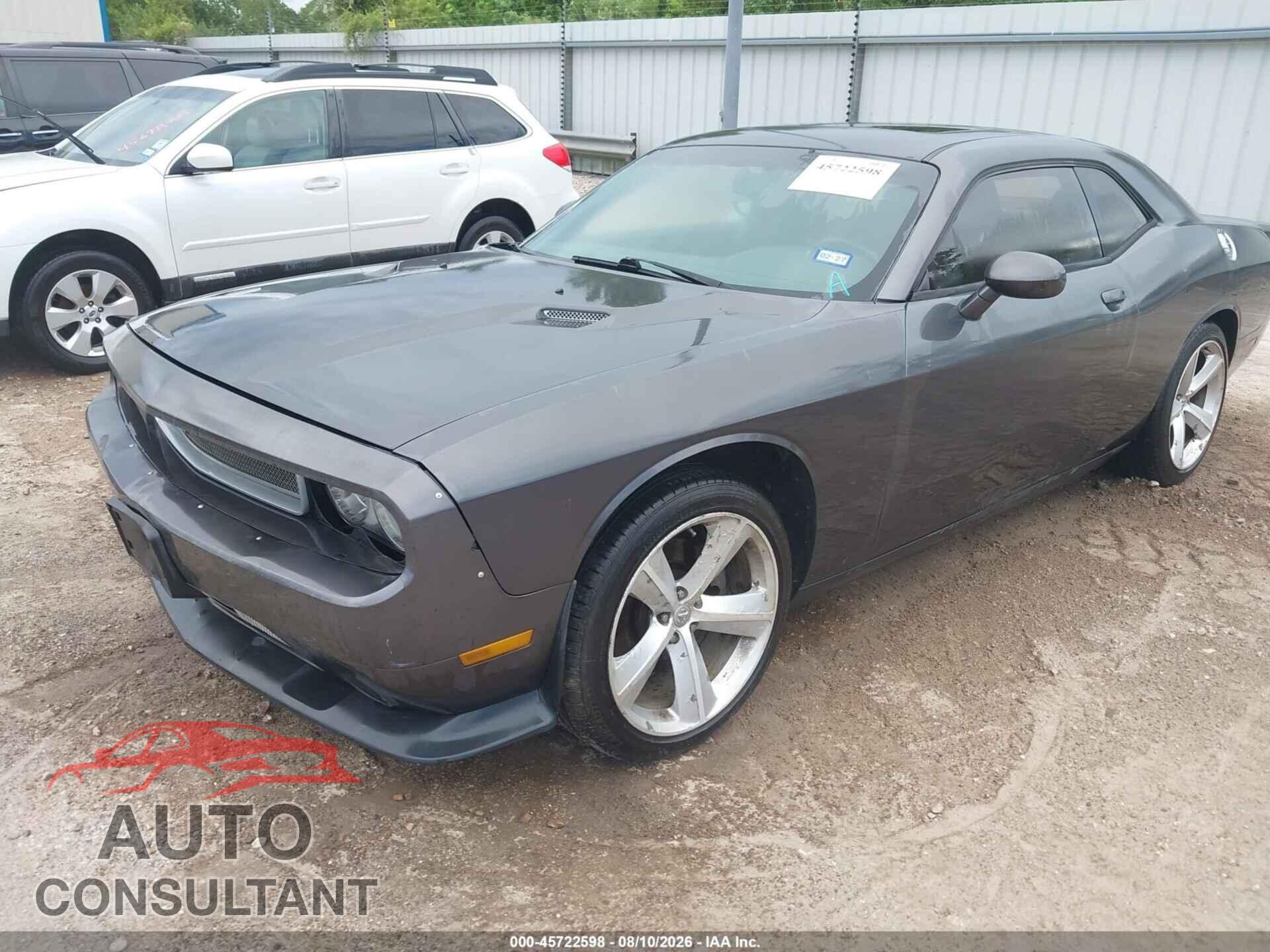 DODGE CHALLENGER 2013 - 2C3CDYAG6DH591355