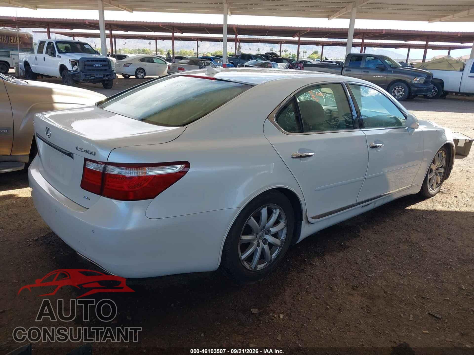 LEXUS LS 460 2009 - JTHCL46F195003317
