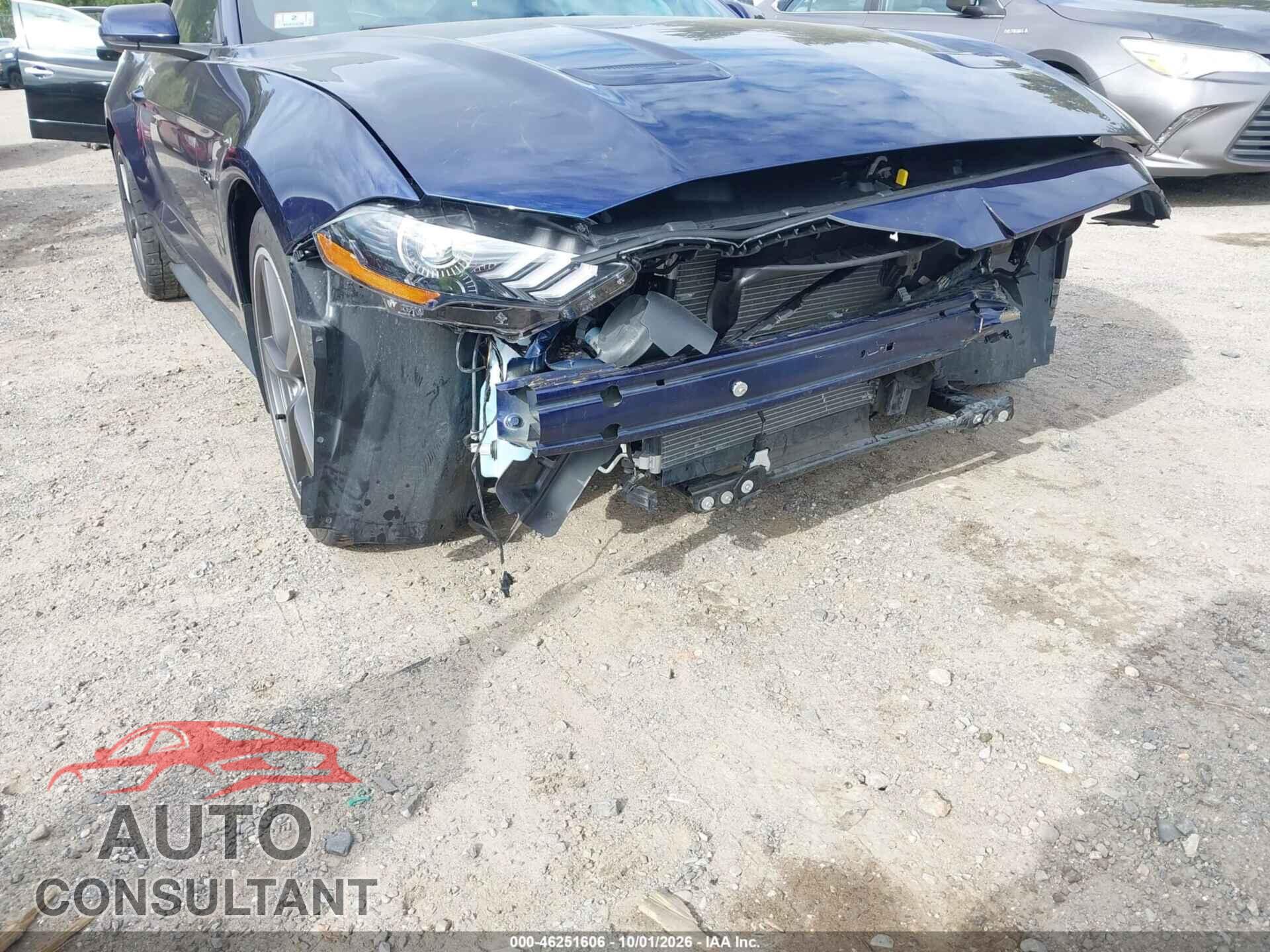 FORD MUSTANG 2019 - 1FA6P8CF3K5194507