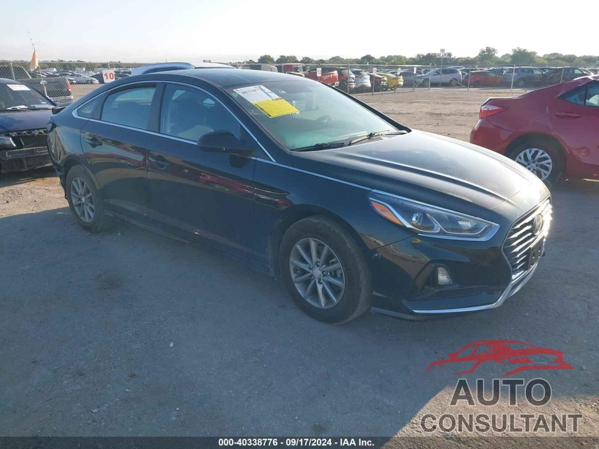 HYUNDAI SONATA 2019 - 5NPE24AF7KH734991