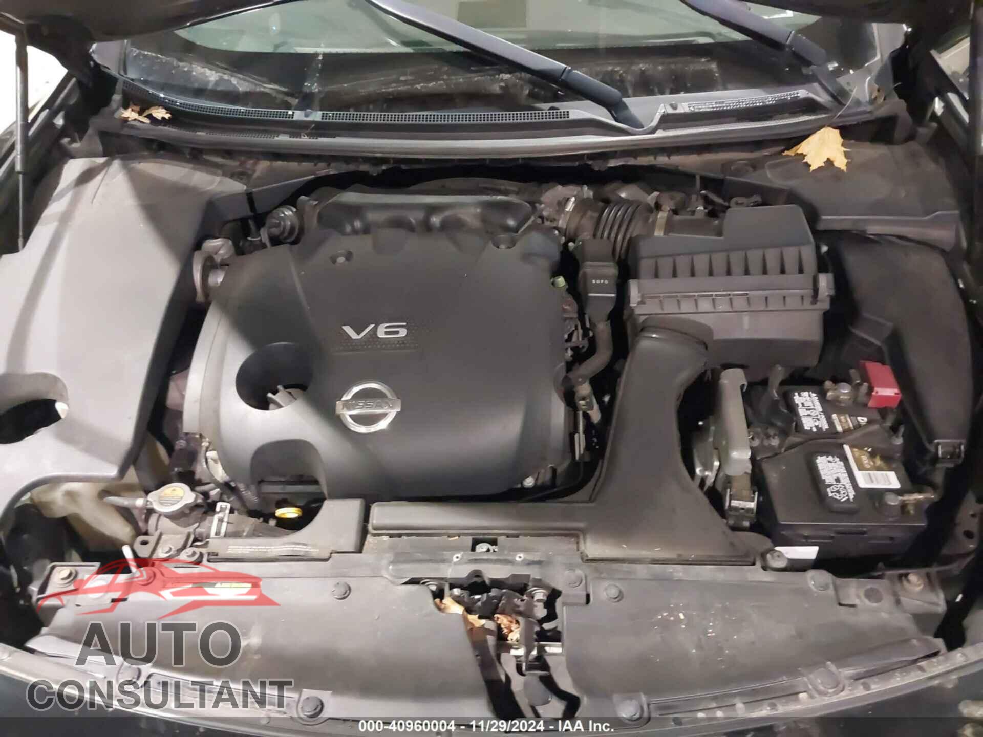 NISSAN MAXIMA 2010 - 1N4AA5AP1AC875281