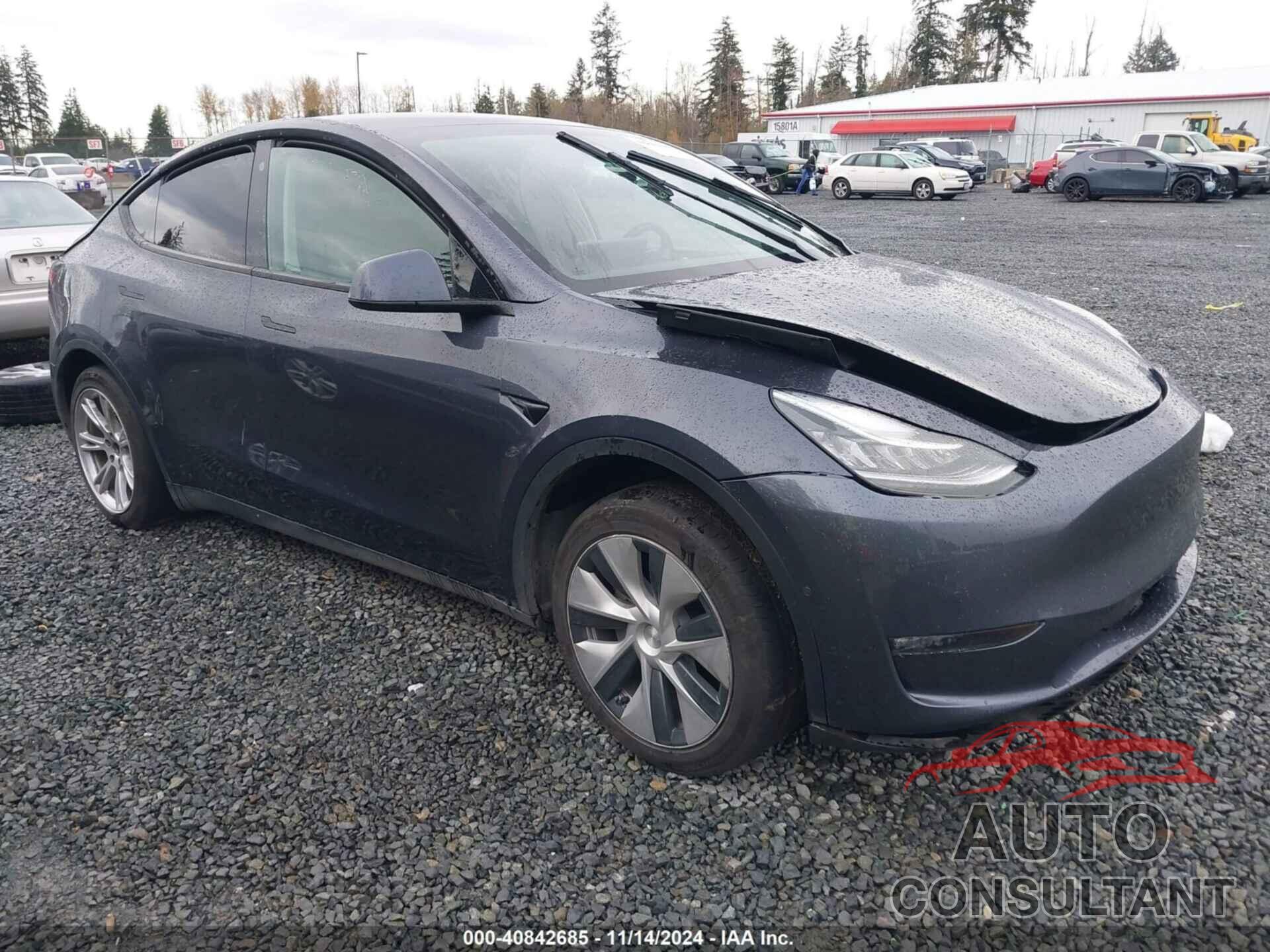 TESLA MODEL Y 2022 - 7SAYGAEE8NF570624