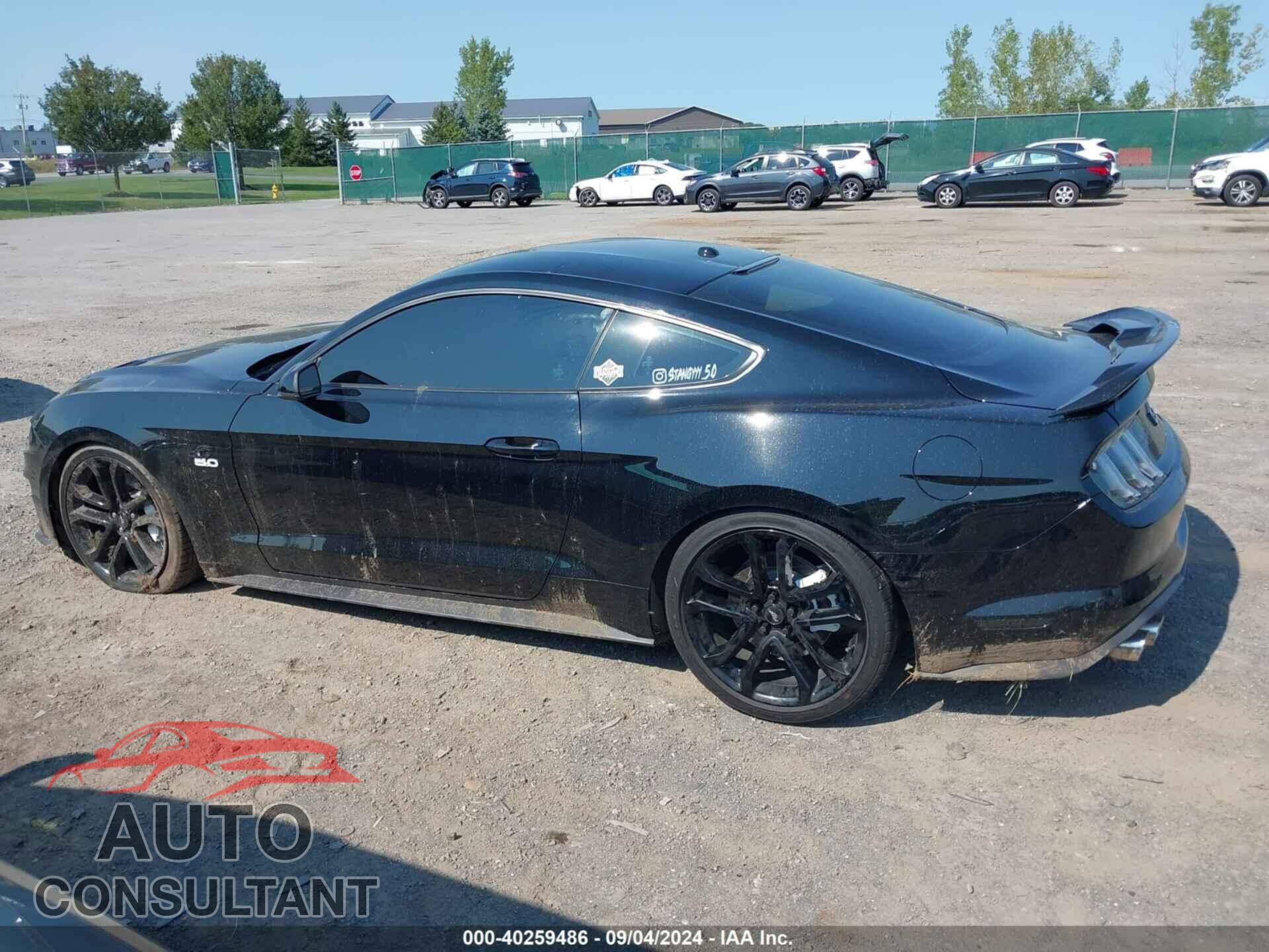 FORD MUSTANG 2019 - 1FA6P8CF3K5177092
