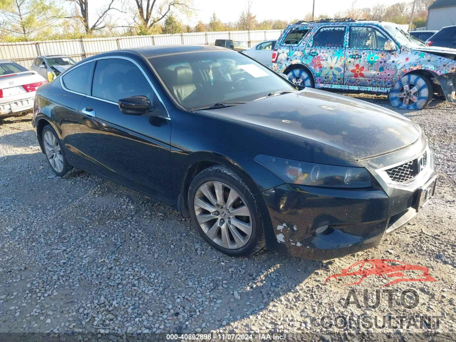 HONDA ACCORD 2009 - 1HGCS22829A008146