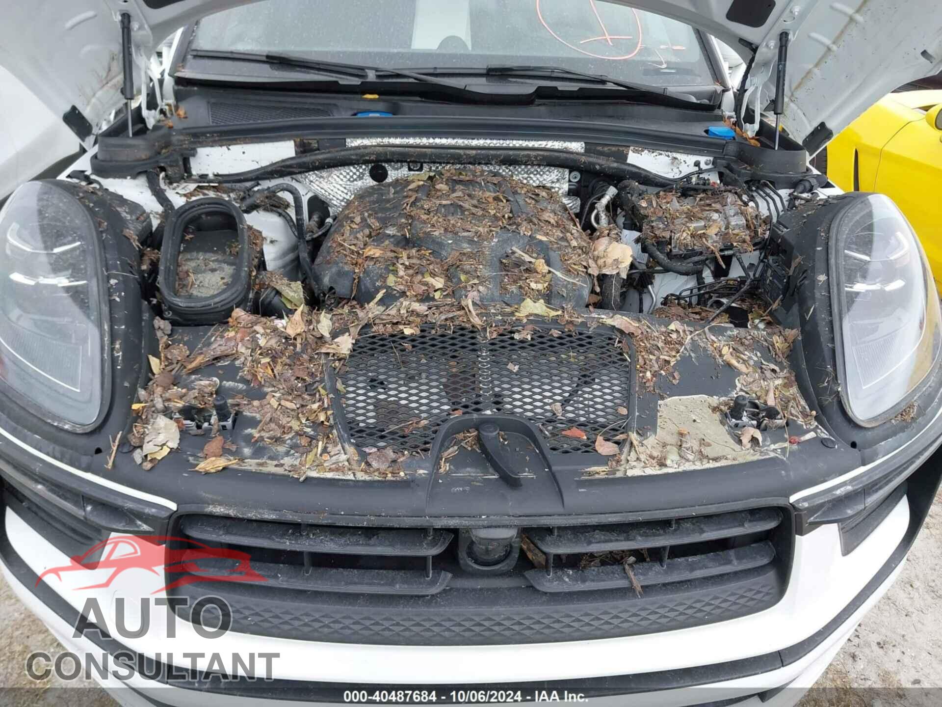 PORSCHE MACAN 2024 - WP1AA2A59RLB05587