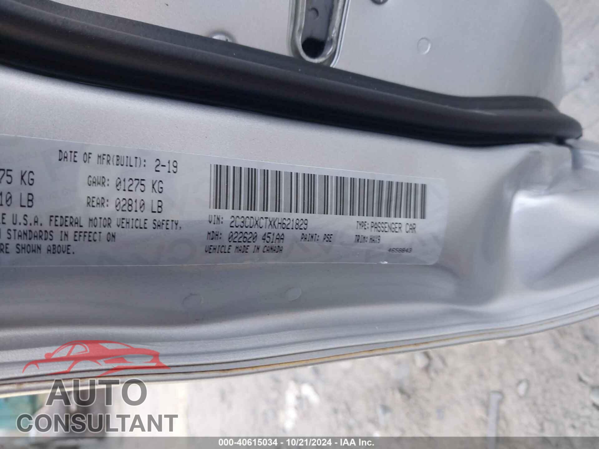 DODGE CHARGER 2019 - 2C3CDXCTXKH621829