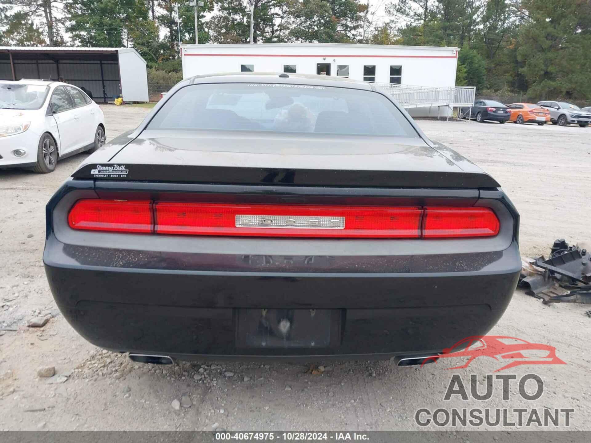 DODGE CHALLENGER 2013 - 2C3CDYBT8DH676127