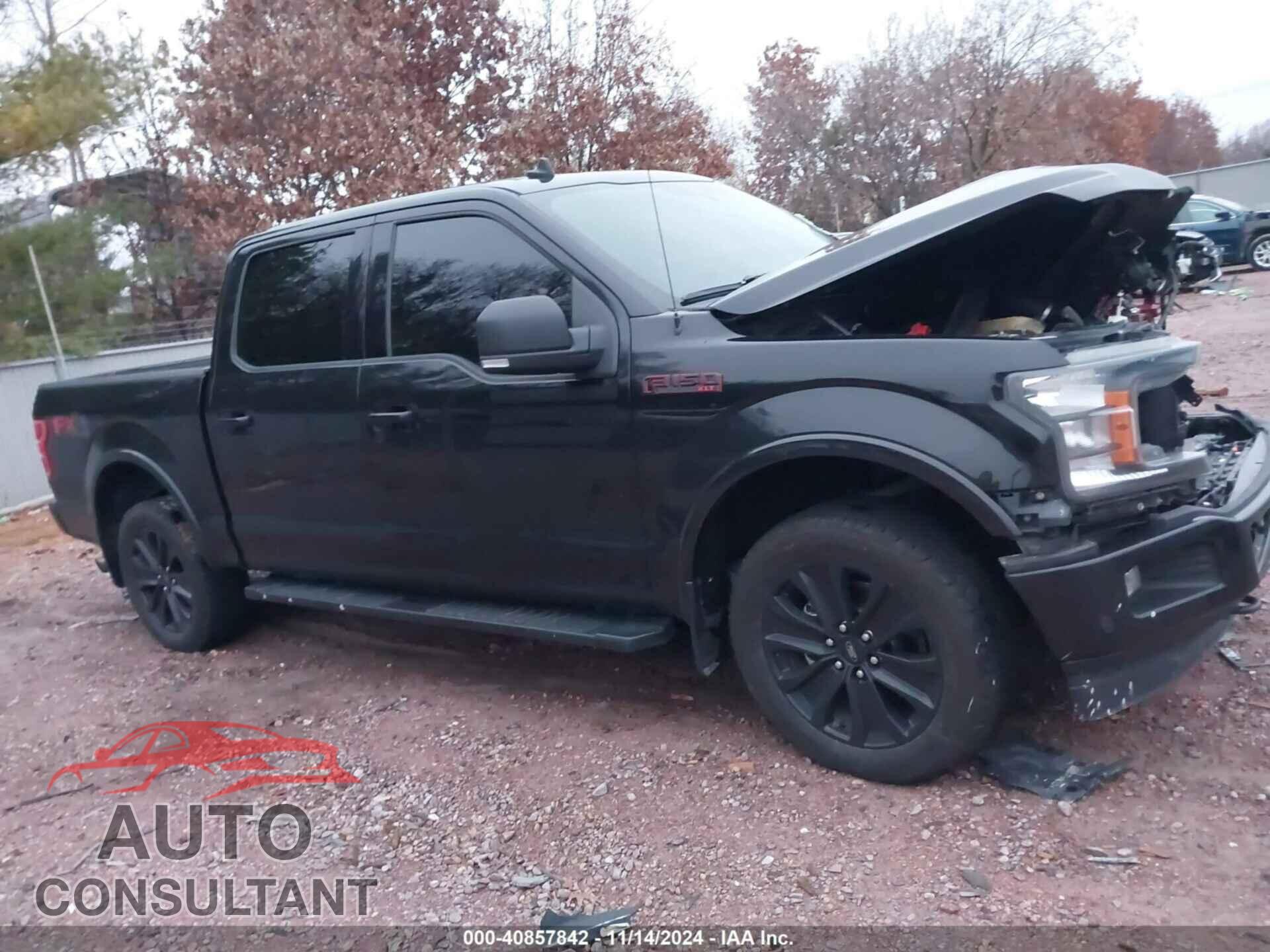 FORD F-150 2019 - 1FTEW1E48KFA61909