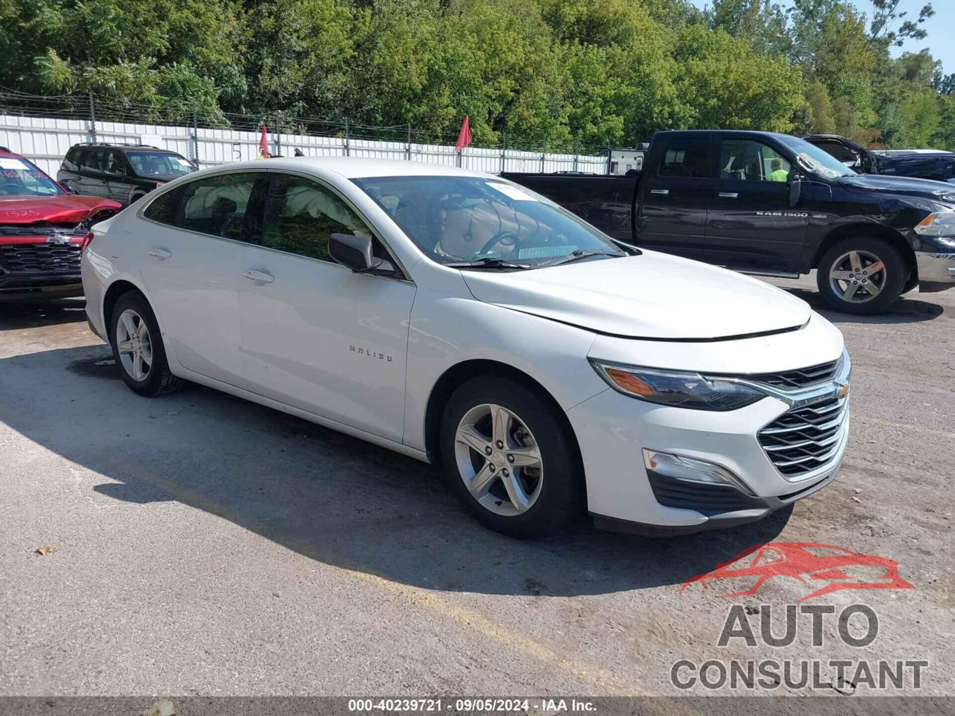 CHEVROLET MALIBU 2019 - 1G1ZB5ST7KF224638