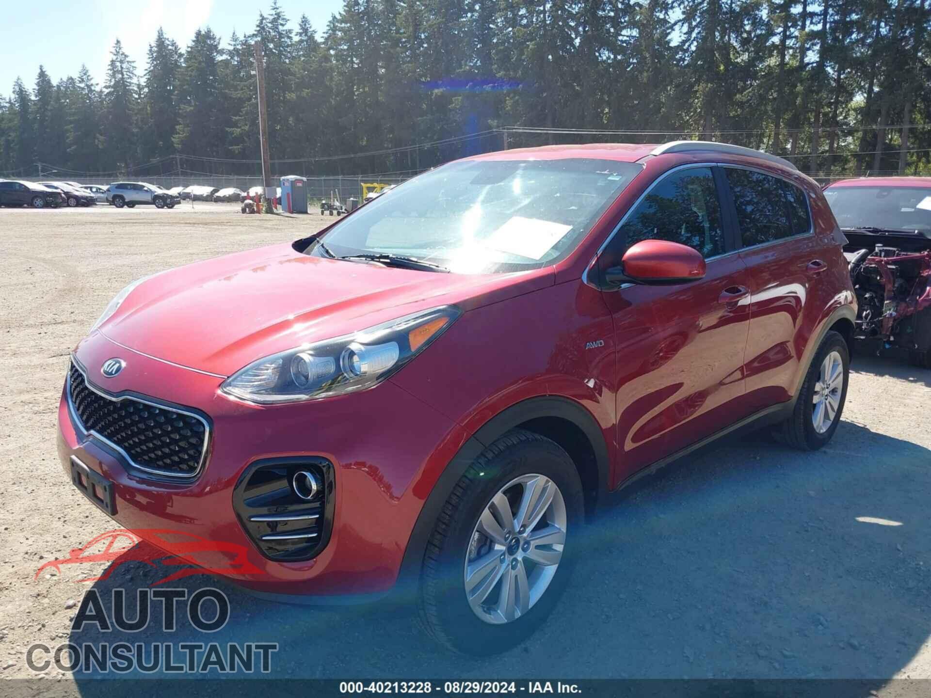 KIA SPORTAGE 2017 - KNDPMCAC2H7207604