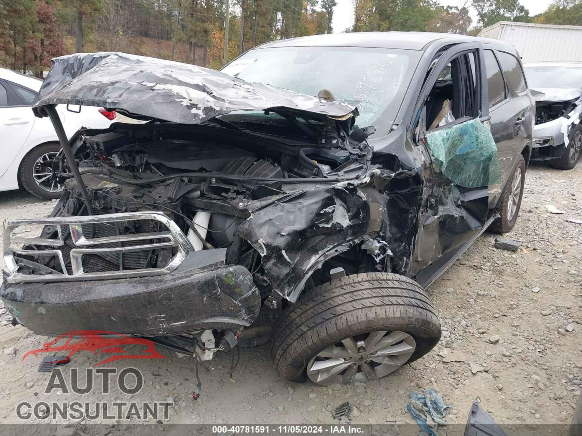 DODGE DURANGO 2019 - 1C4RDHAG8KC659256