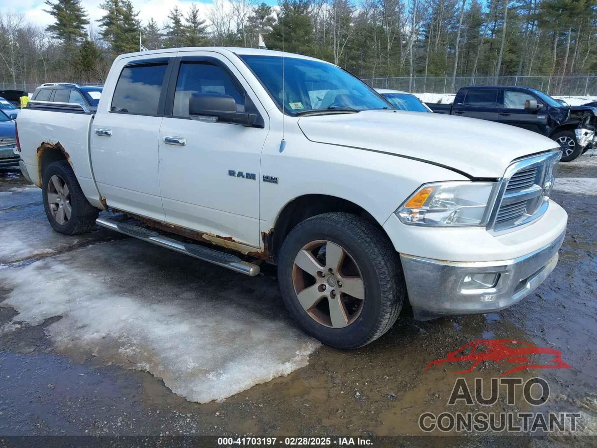 DODGE RAM 1500 2009 - 1D3HV13T49S720877